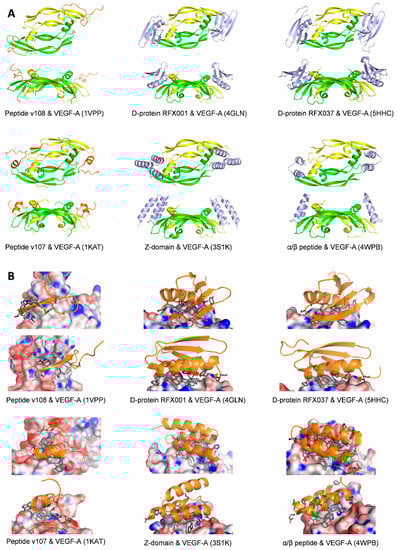 Molecules 26 06759 g008