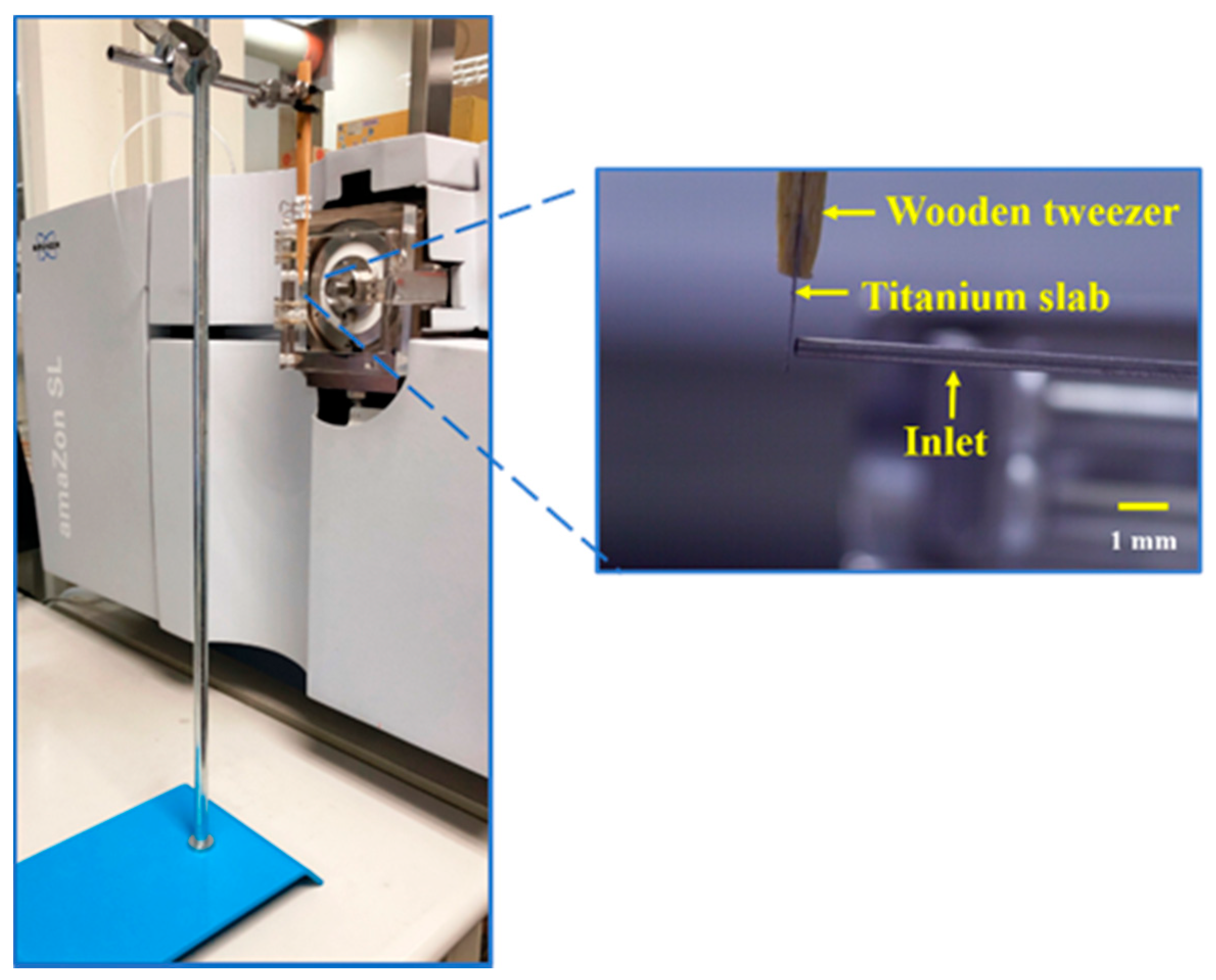 Molecules 26 06760 g001 Molecules 26 06760 g001
