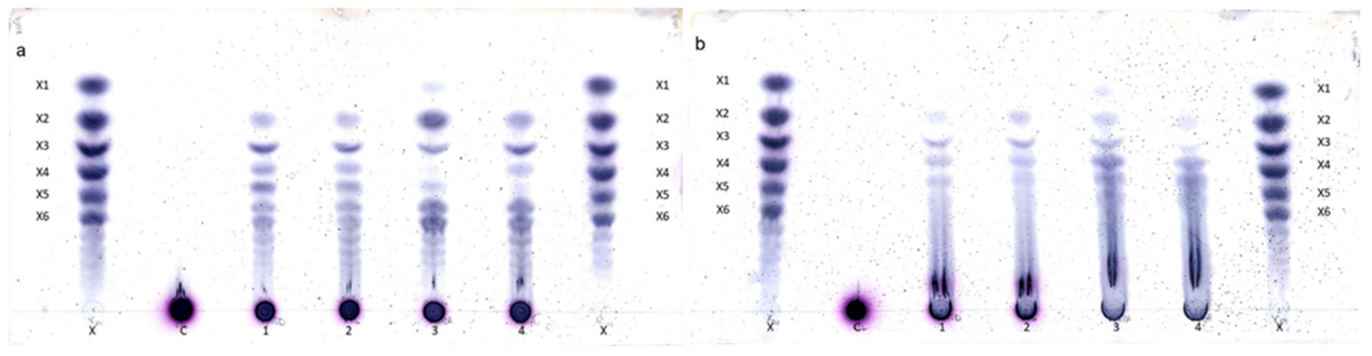 Molecules 26 06770 g001 Molecules 26 06770 g001