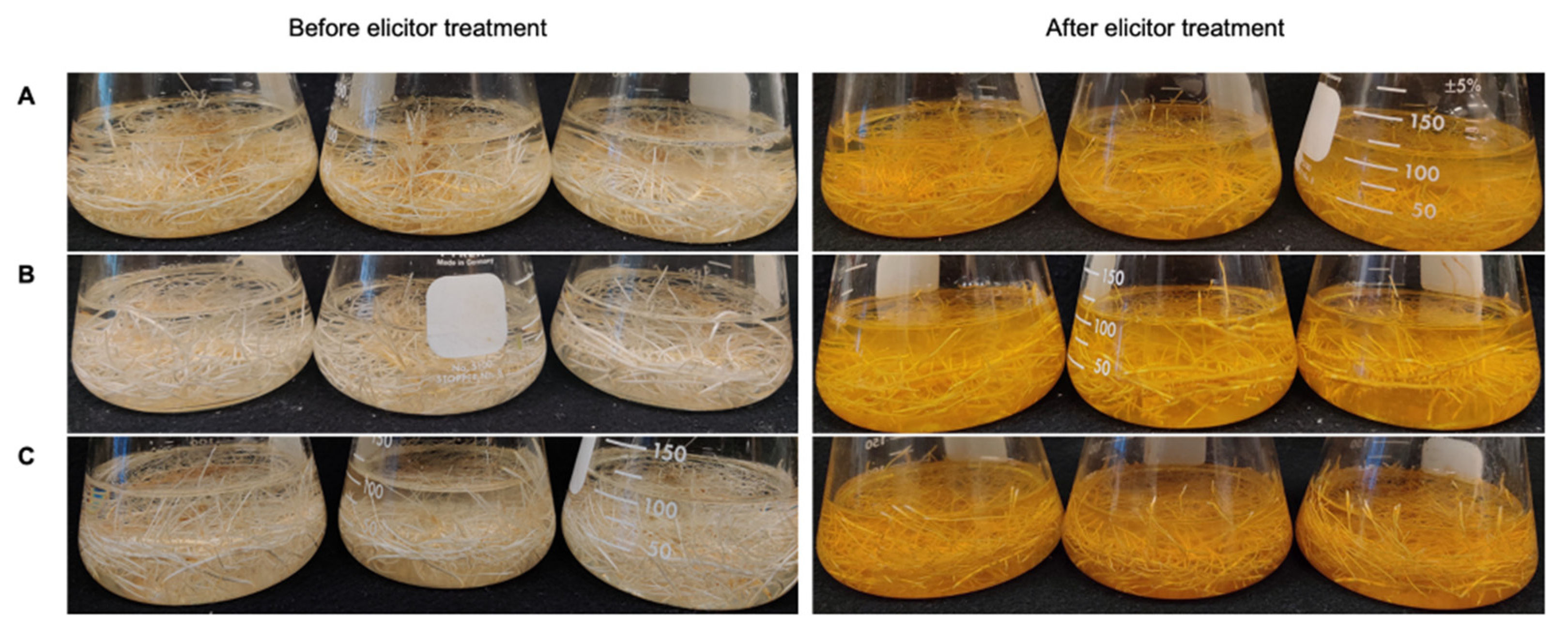 Molecules 26 06778 g003