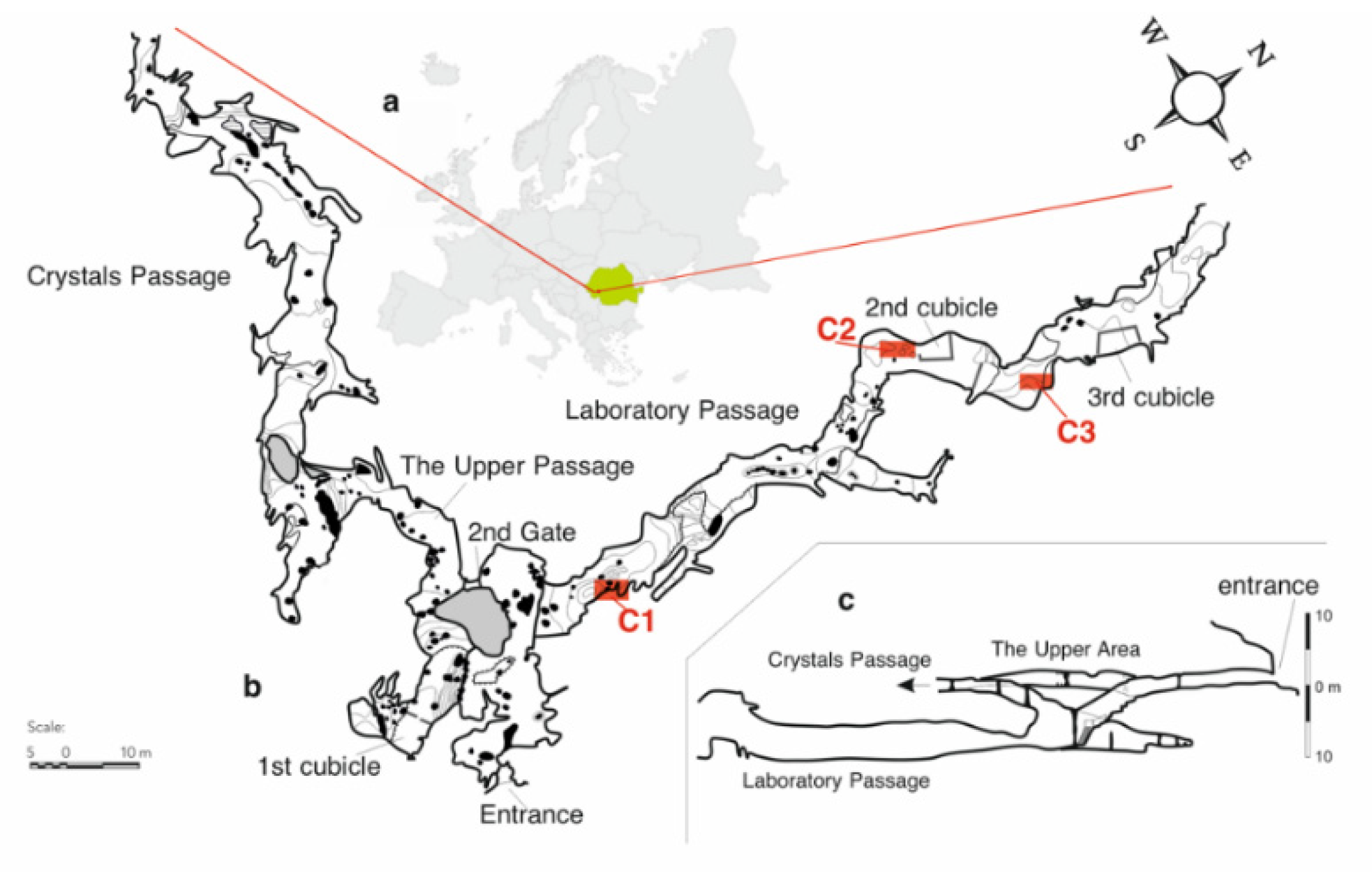 Molecules 26 06788 g008