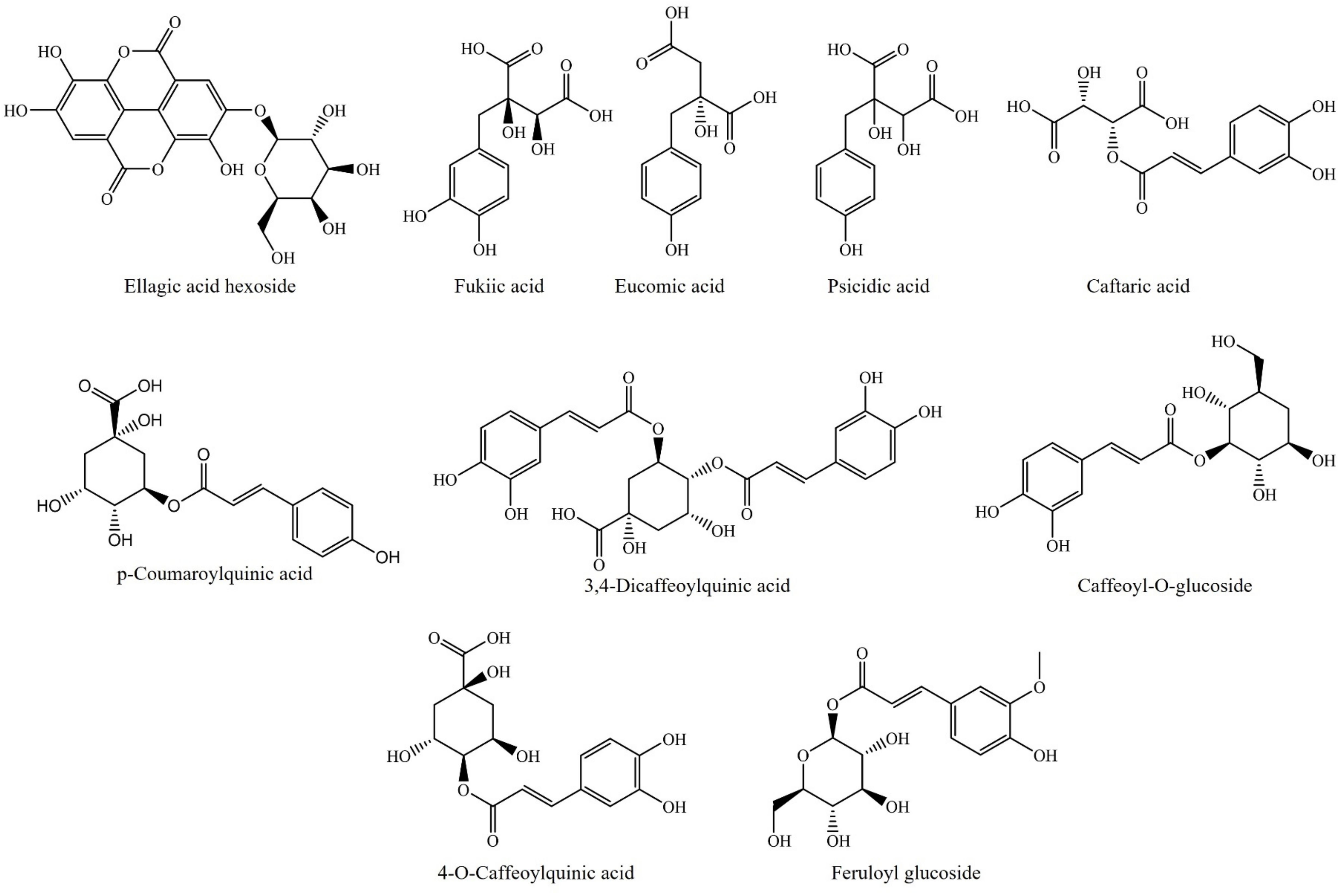 Molecules 26 06789 g002