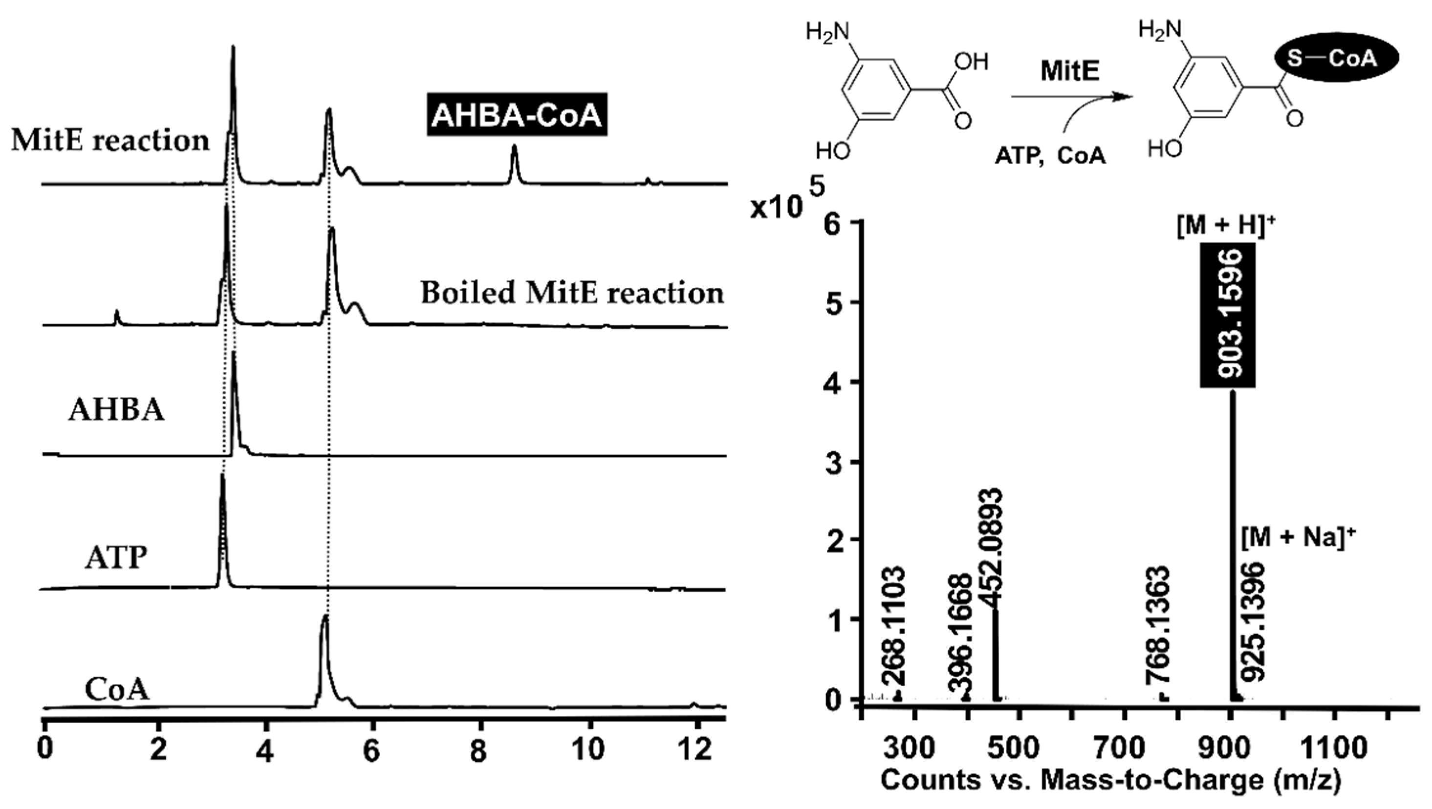 Molecules 26 06791 g003 Molecules 26 06791 g003