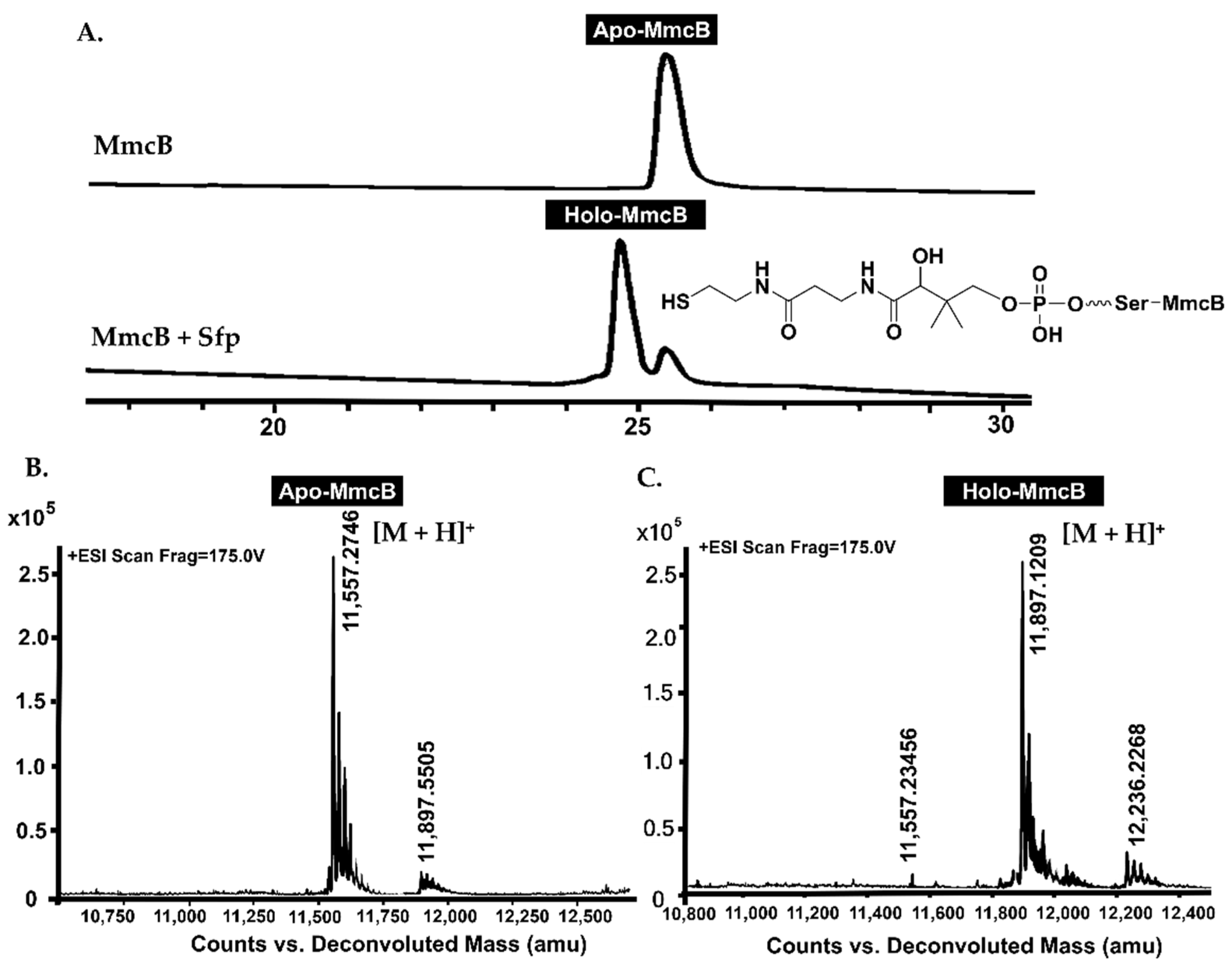 Molecules 26 06791 g004 Molecules 26 06791 g004