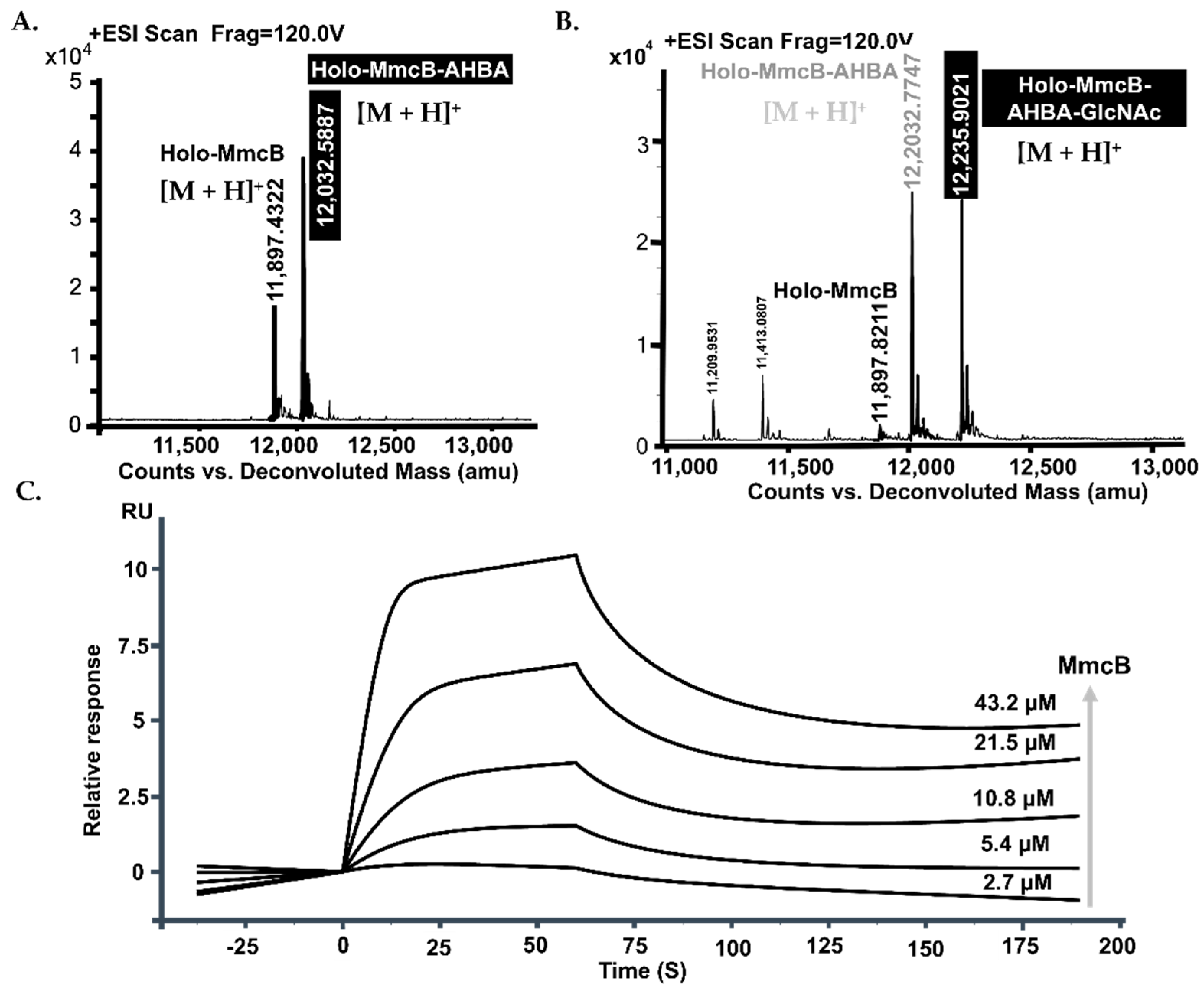 Molecules 26 06791 g005 Molecules 26 06791 g005
