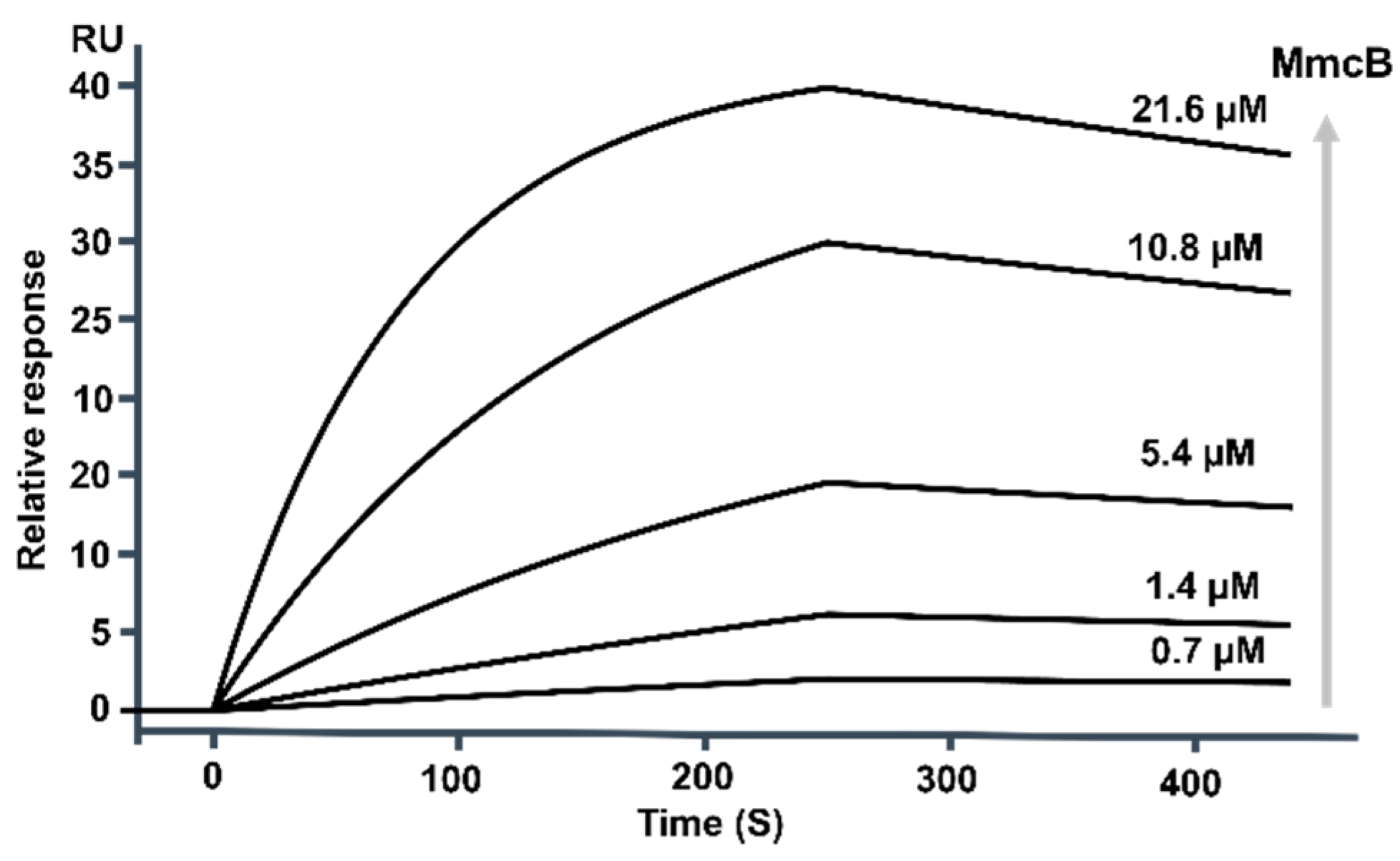Molecules 26 06791 g006 Molecules 26 06791 g006
