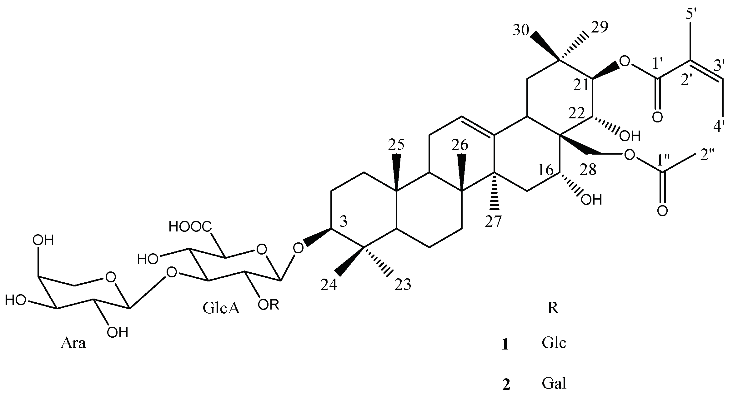 Molecules 26 06805 g001