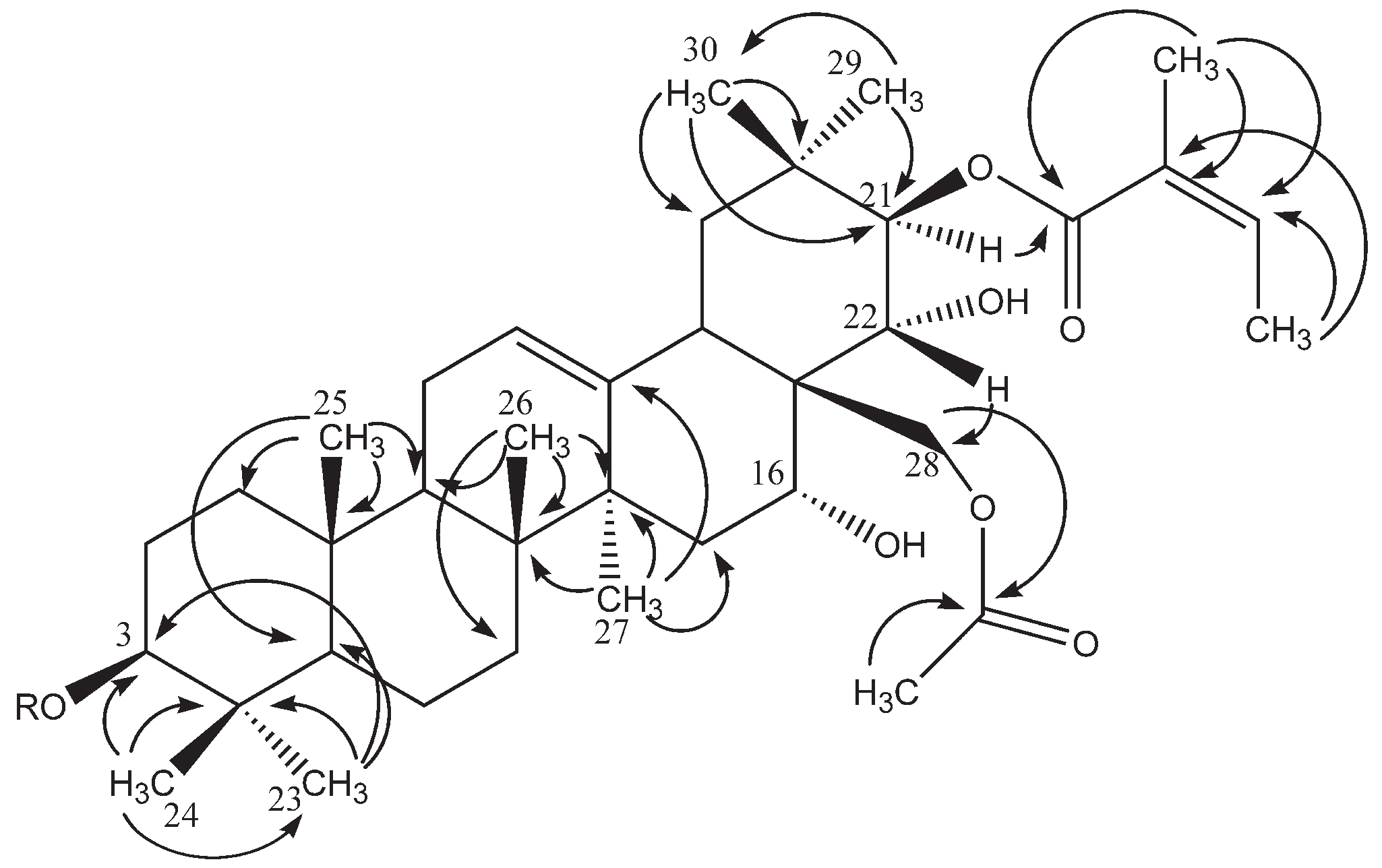 Molecules 26 06805 g002