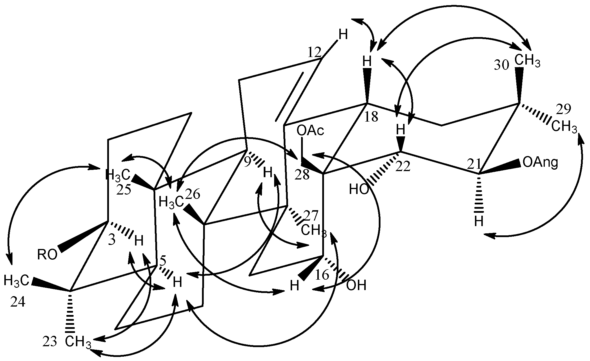 Molecules 26 06805 g003