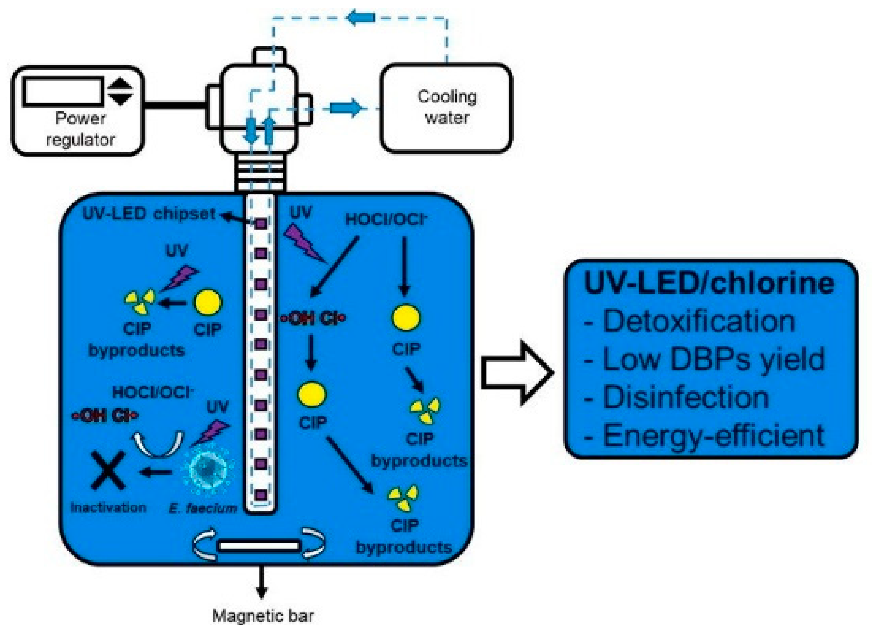 Molecules 26 06813 g004