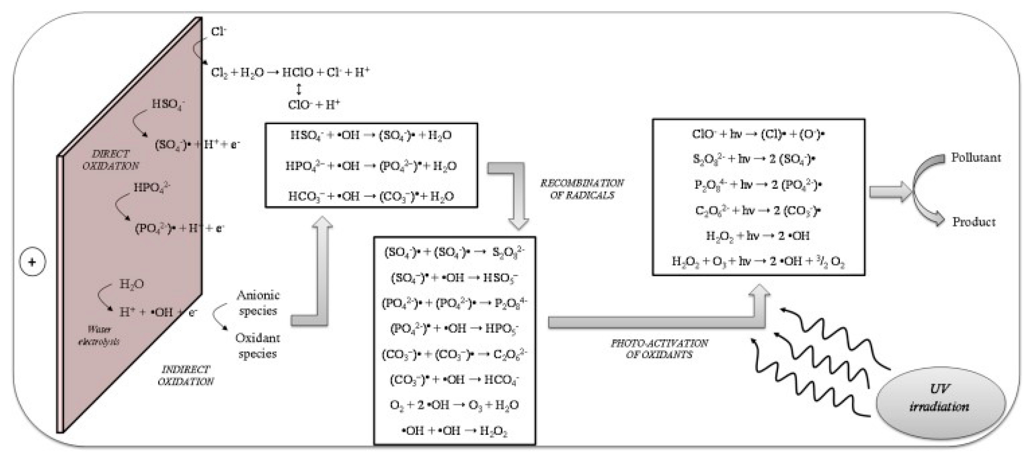 Molecules 26 06813 g006