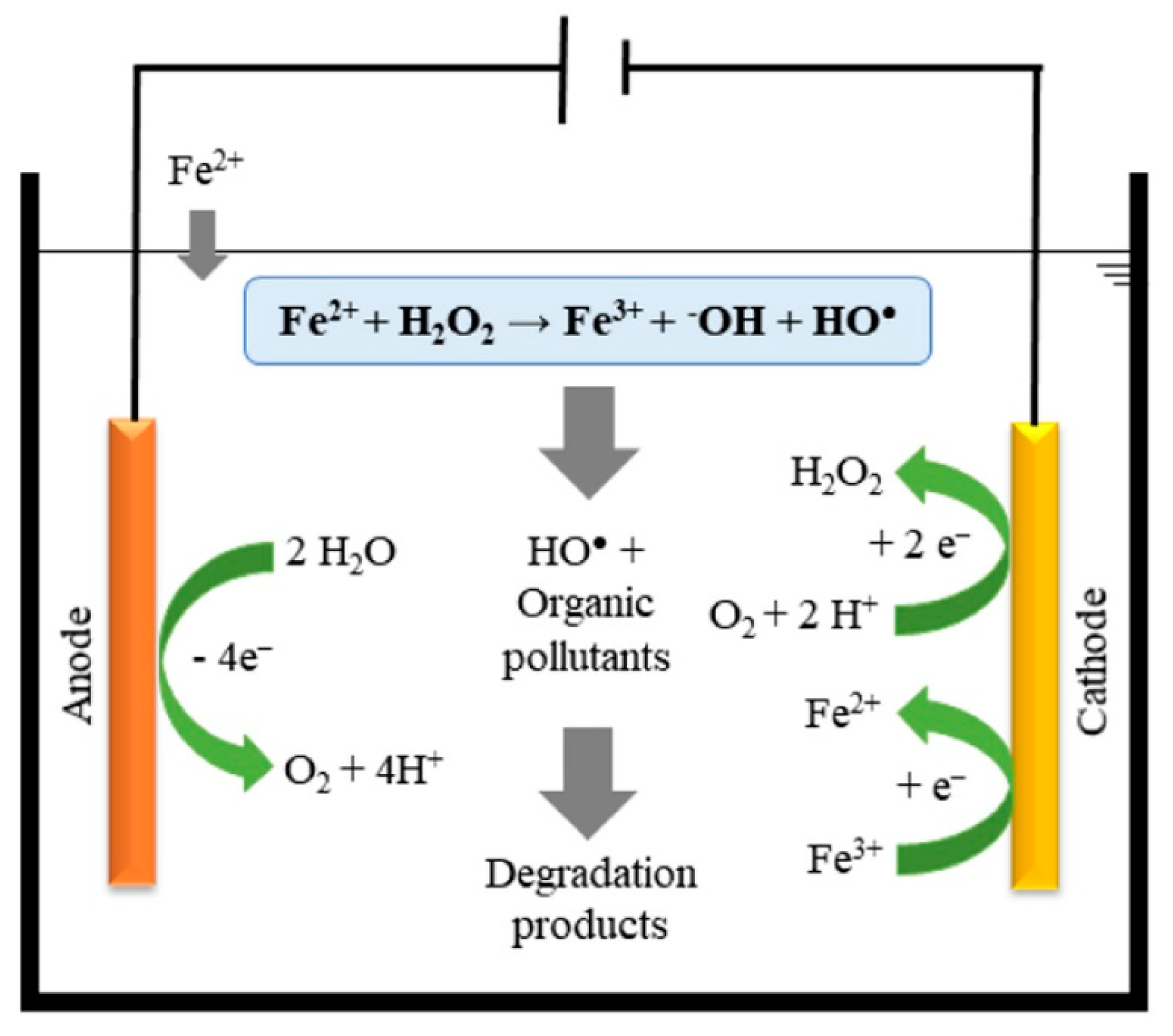 Molecules 26 06813 g009