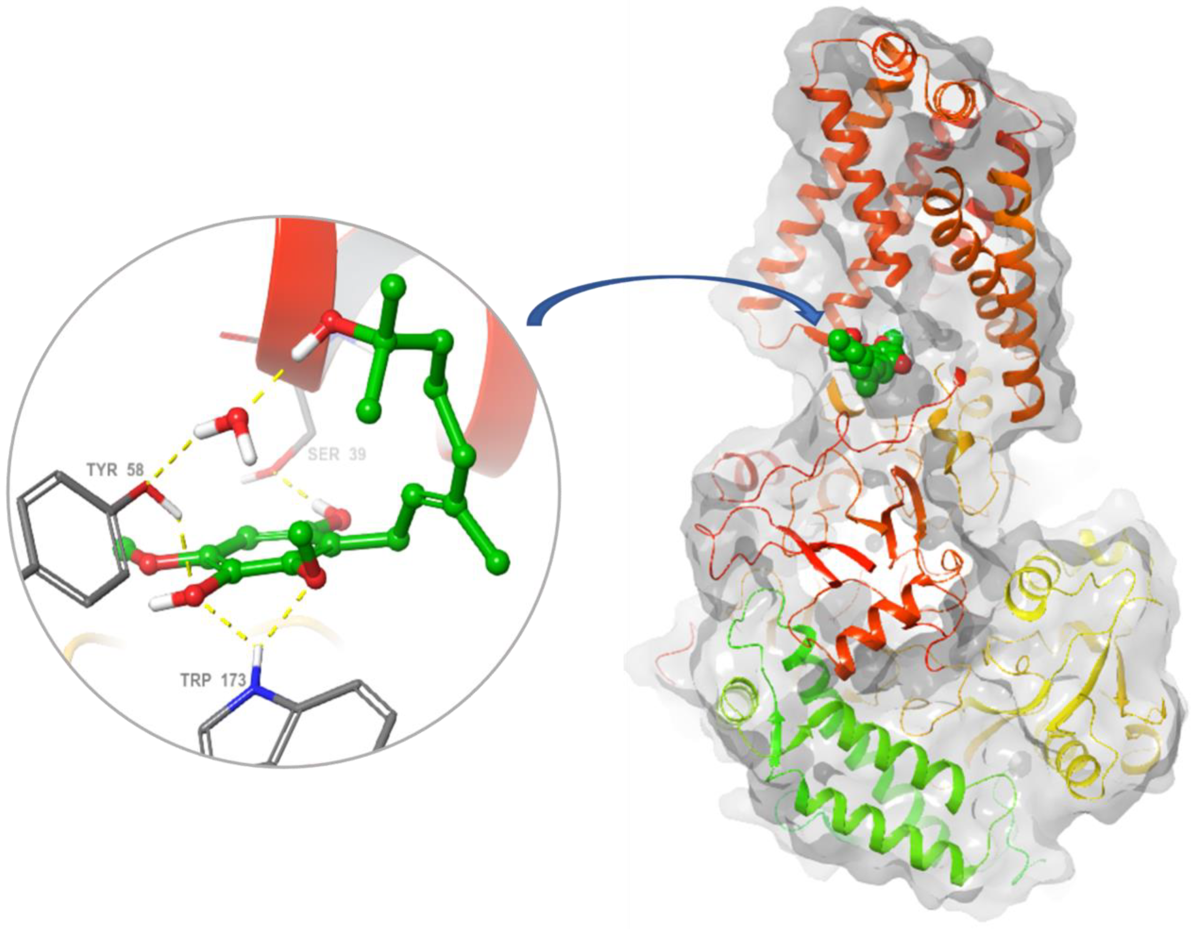 Molecules 26 06815 g009