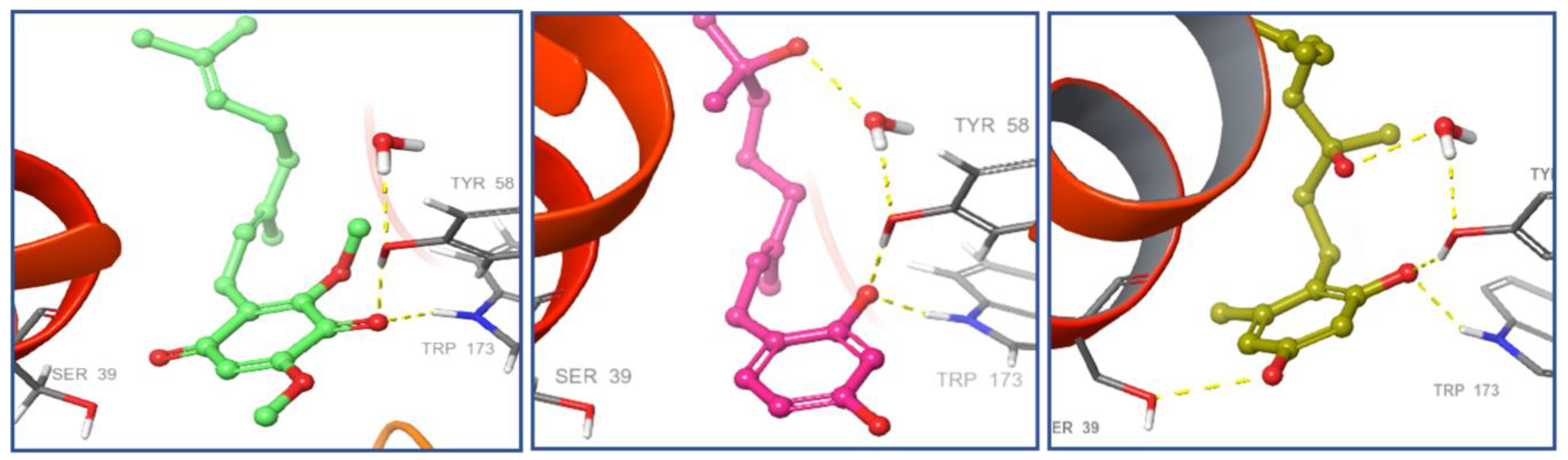 Molecules 26 06815 g010