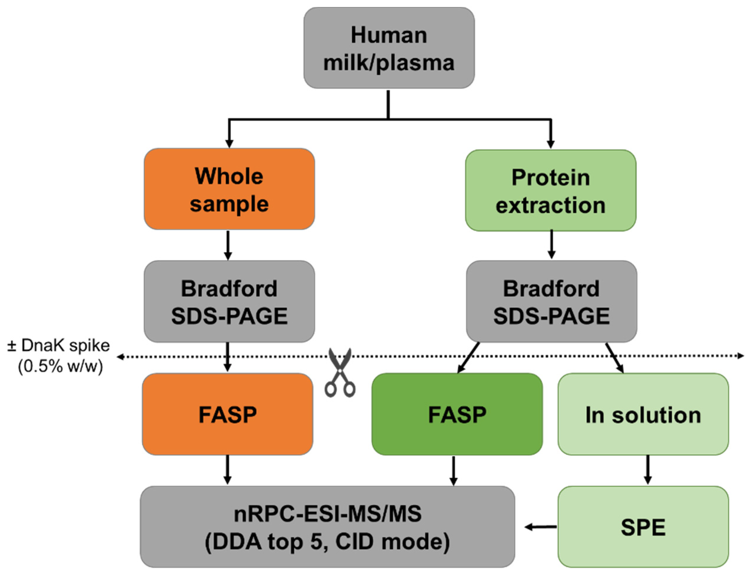 Molecules 26 06816 g001