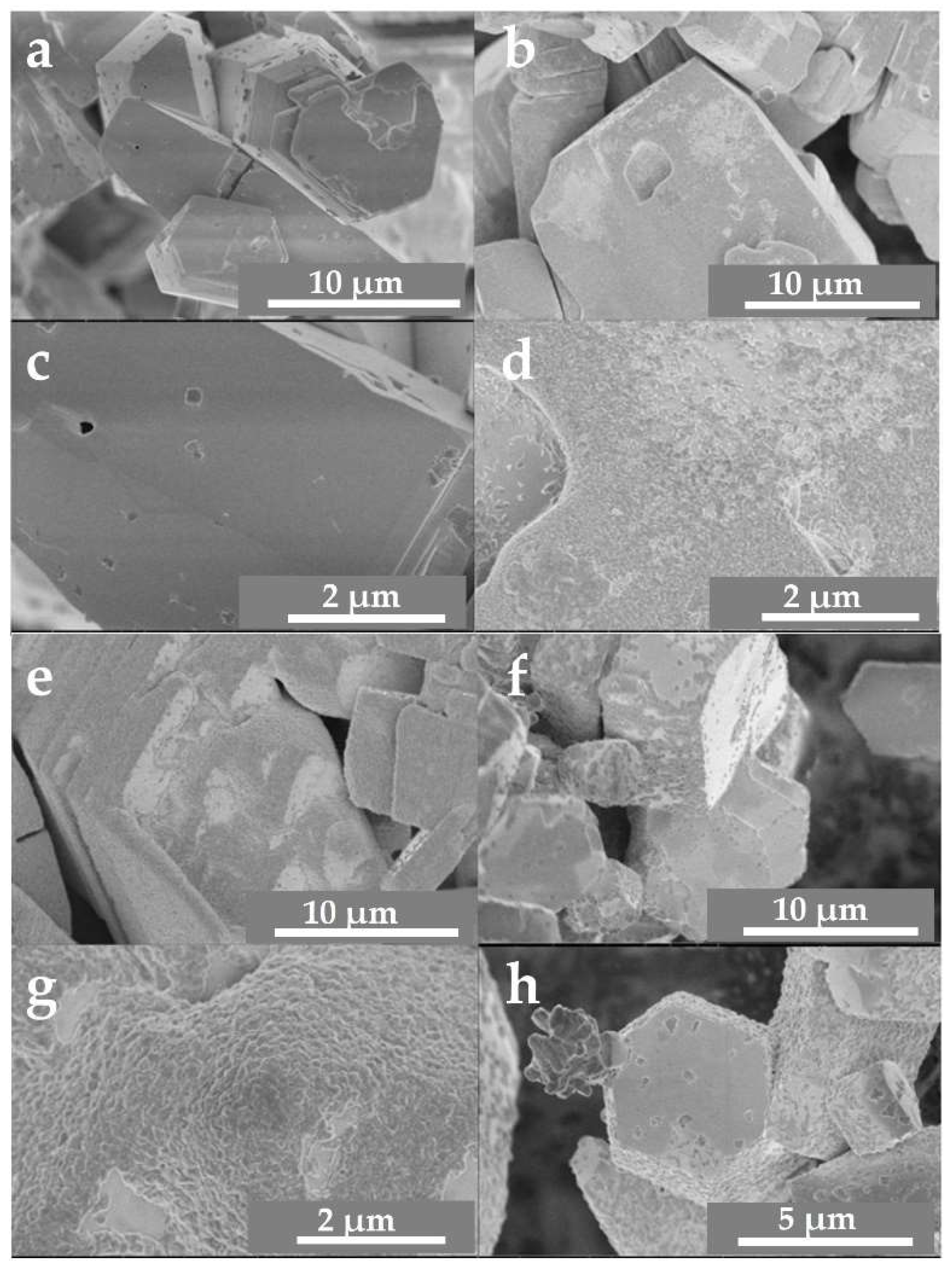 Molecules 26 06830 g002