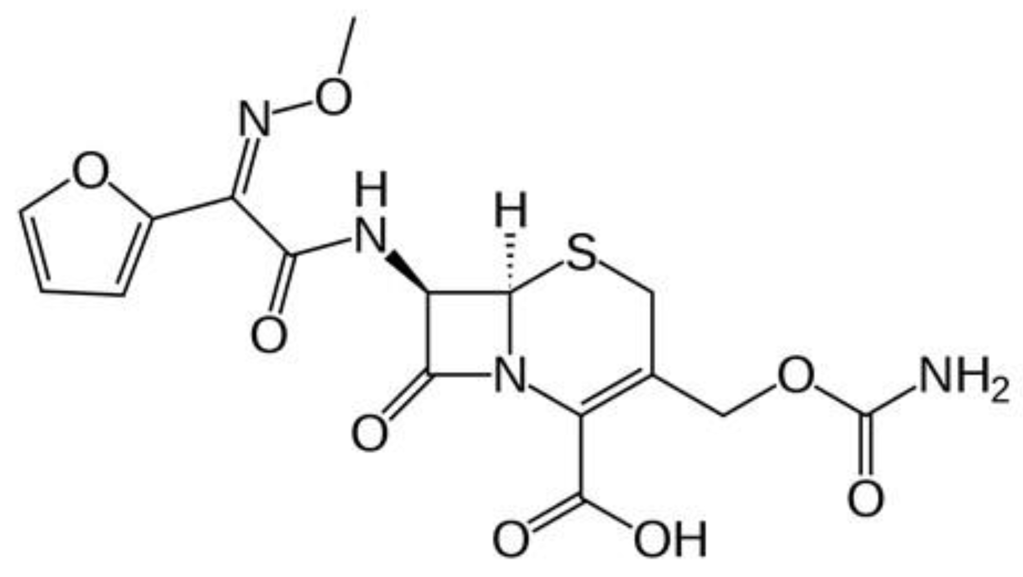 Molecules 26 06832 g001
