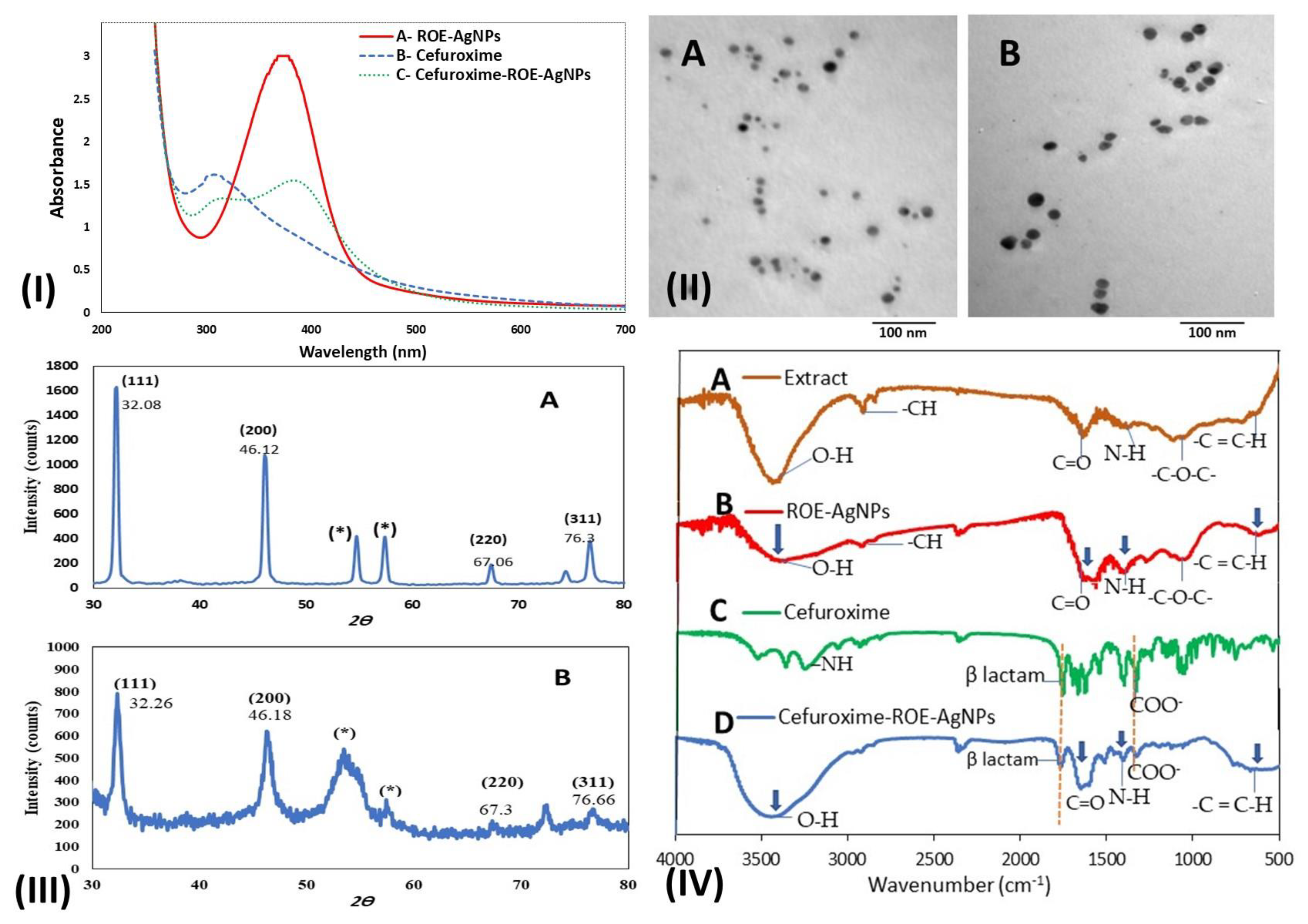Molecules 26 06832 g002