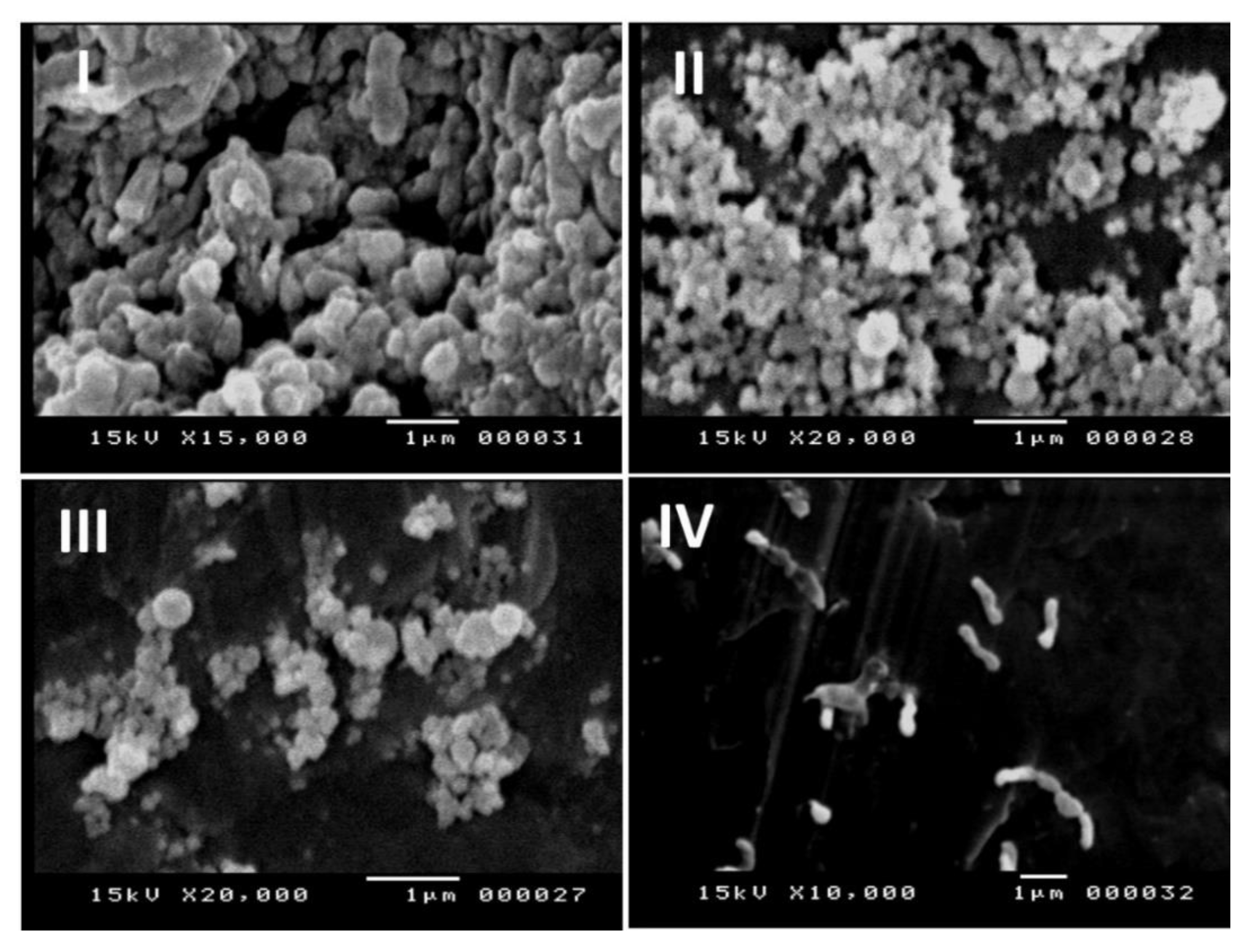 Molecules 26 06832 g006