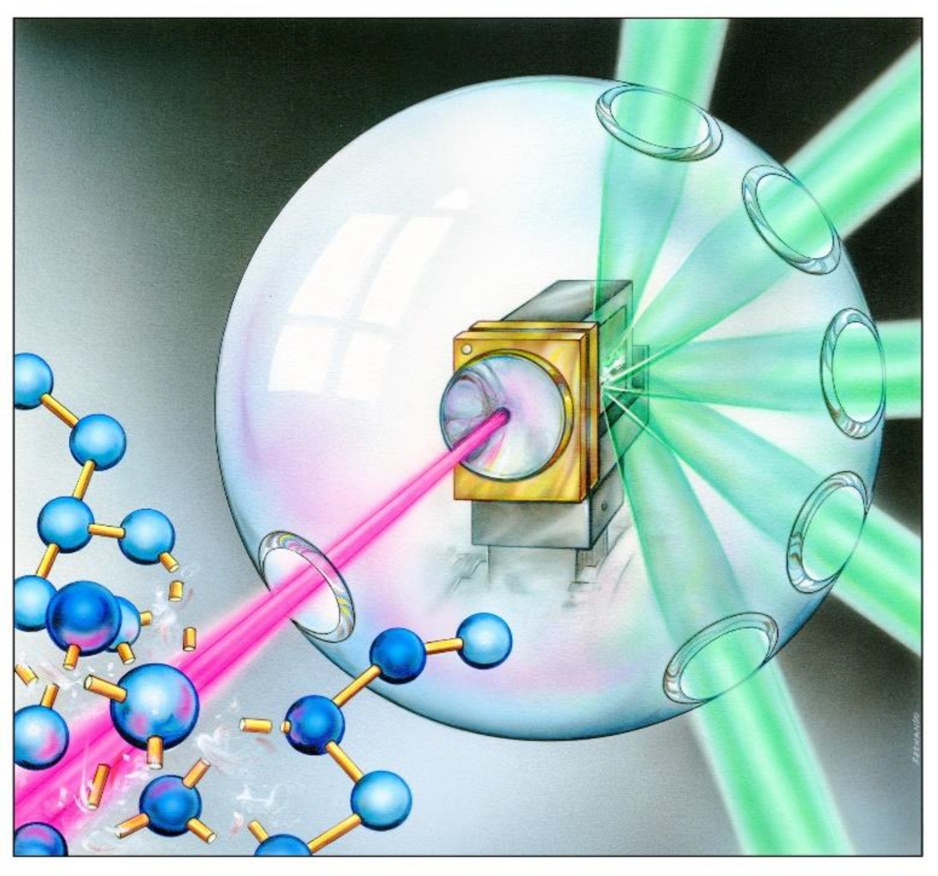 Molecules 26 06833 g001