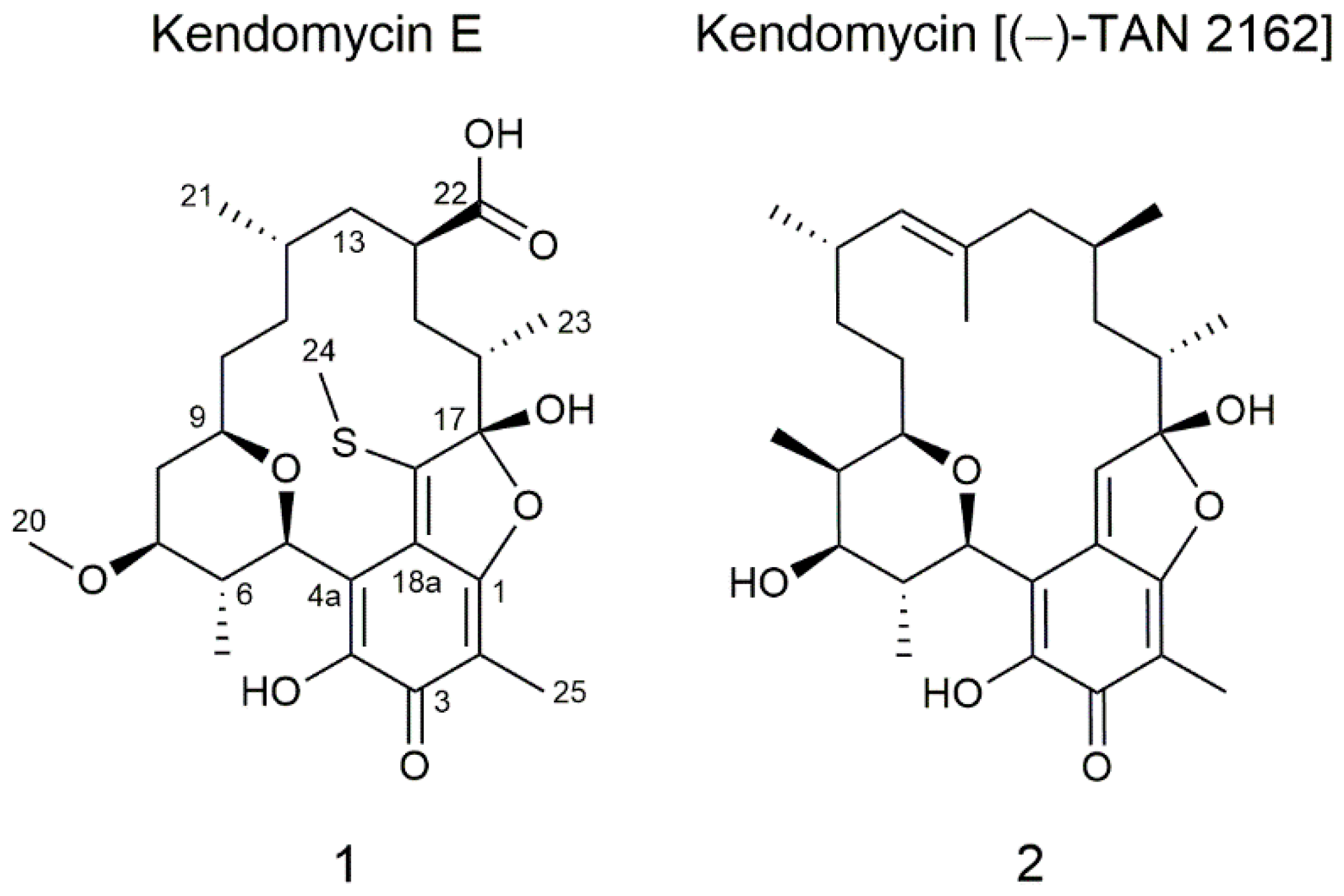 Molecules 26 06834 g001