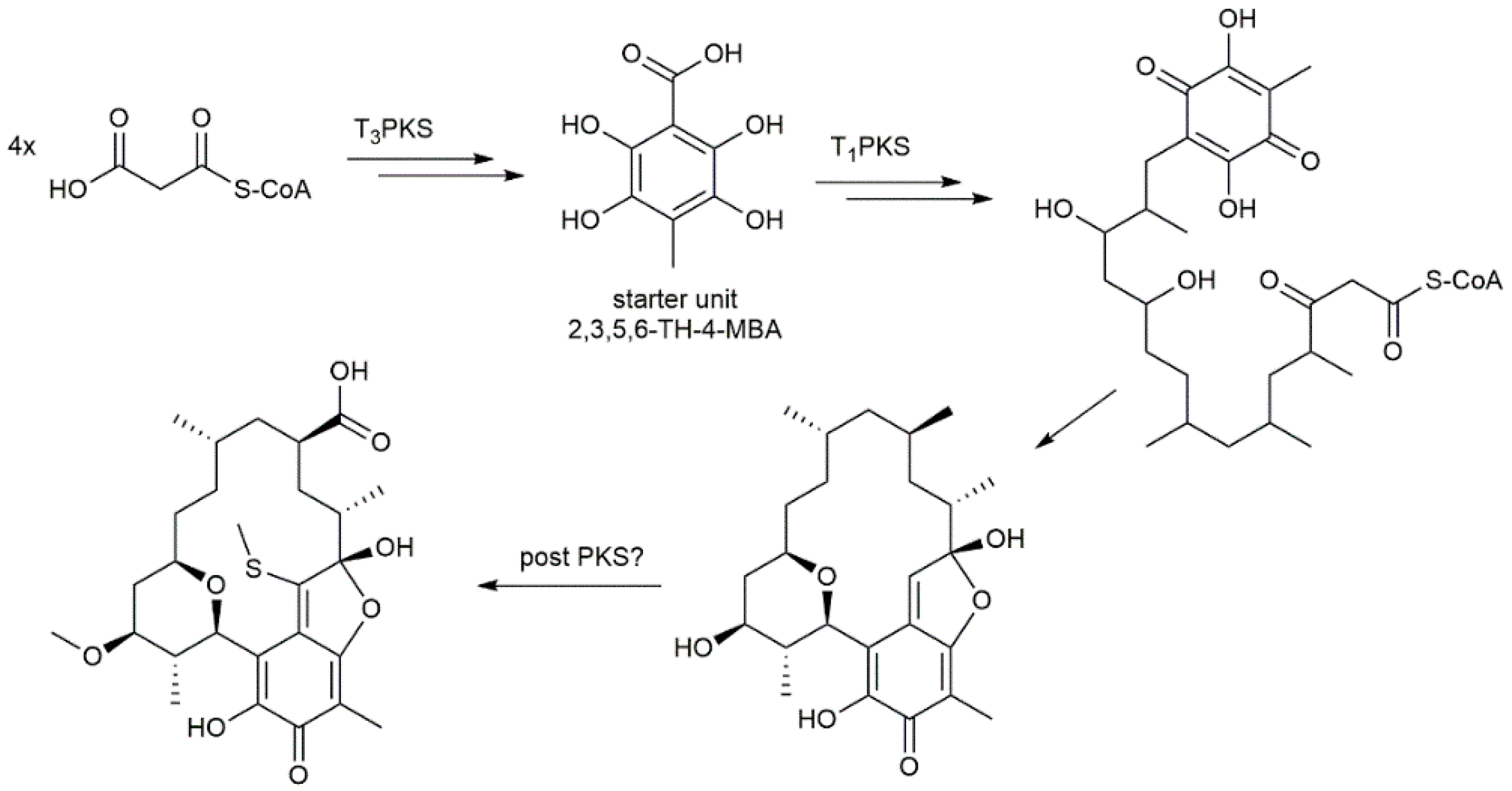 Molecules 26 06834 g002