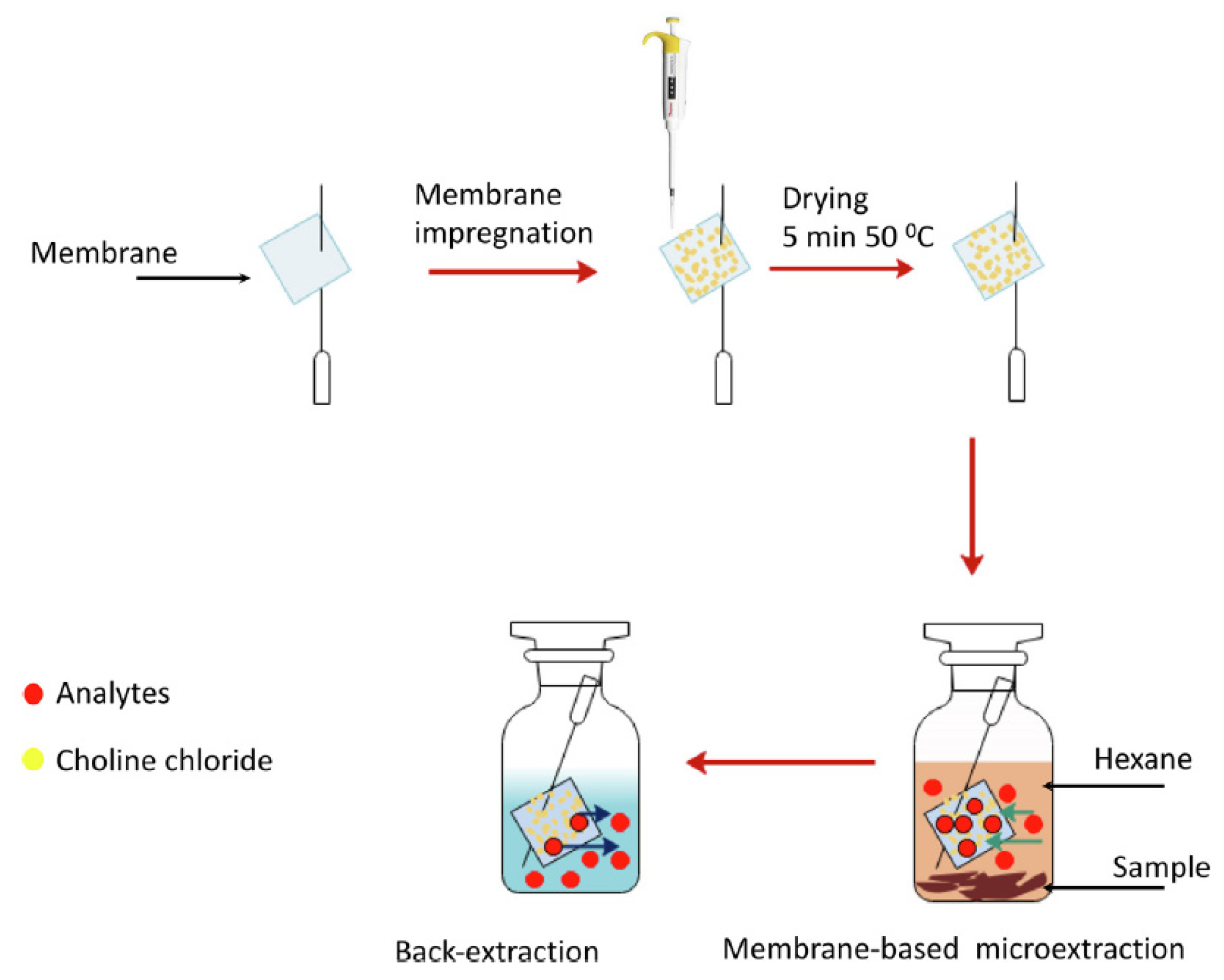 Molecules 26 06846 g001