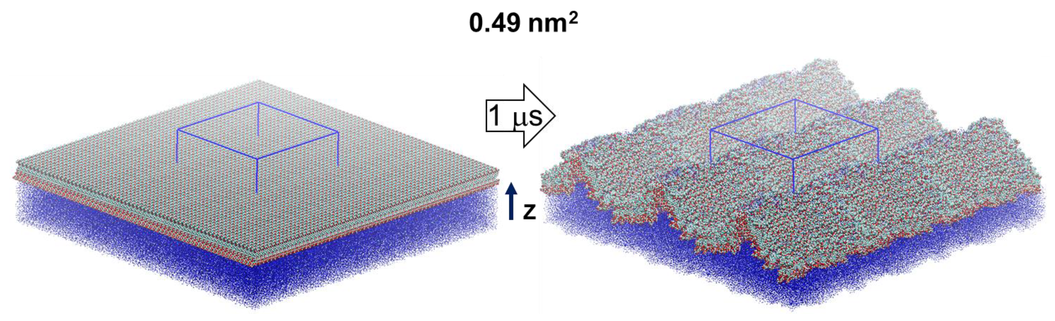 Molecules 26 06856 g001
