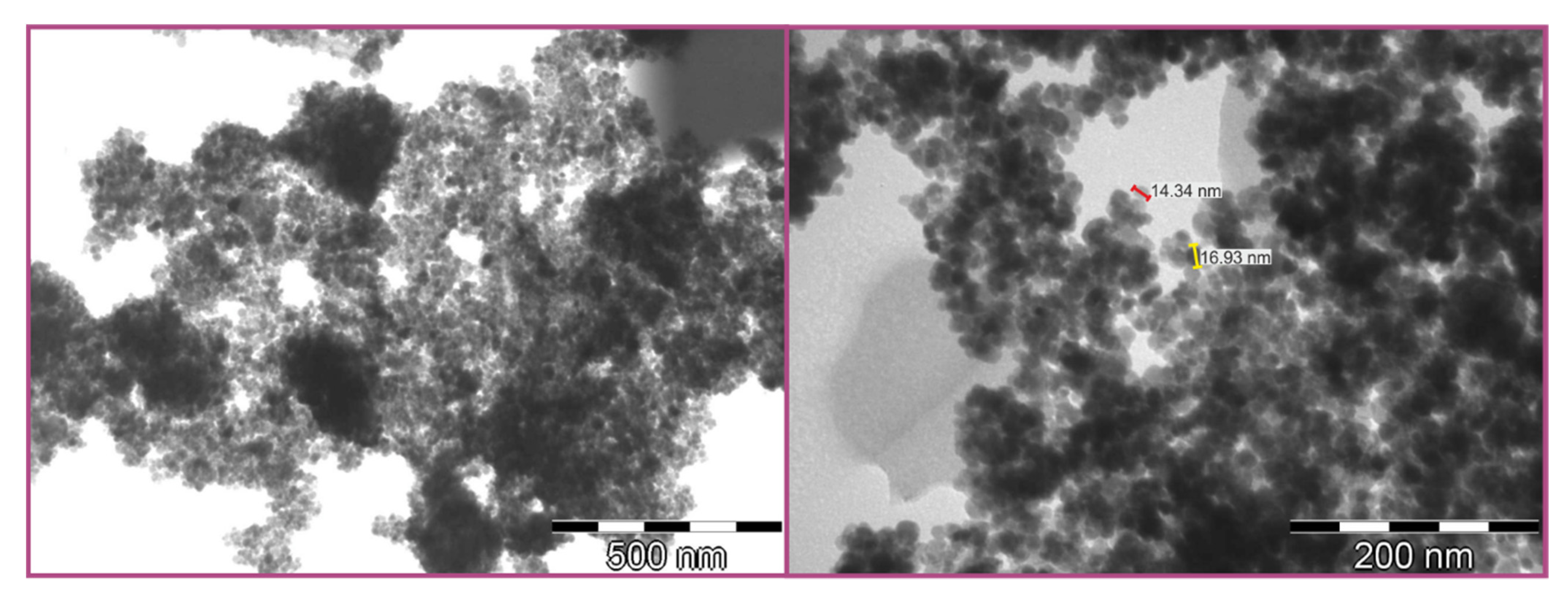 Molecules 26 06859 g004