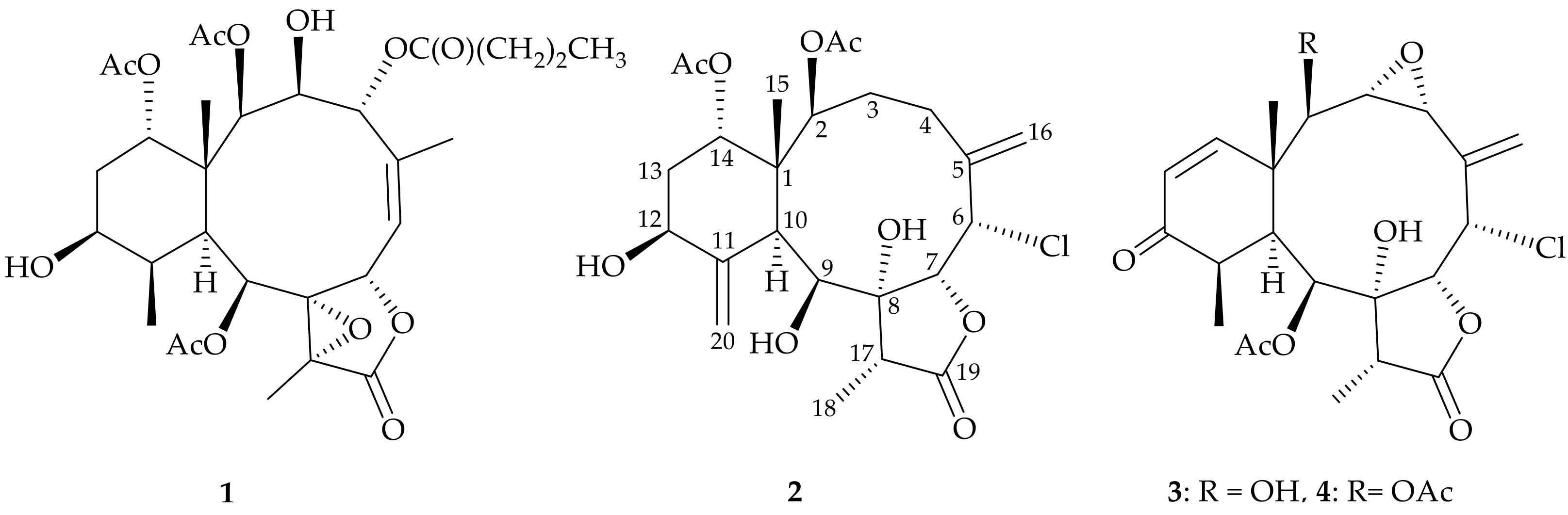 Molecules 26 06861 g001 Molecules 26 06861 g001