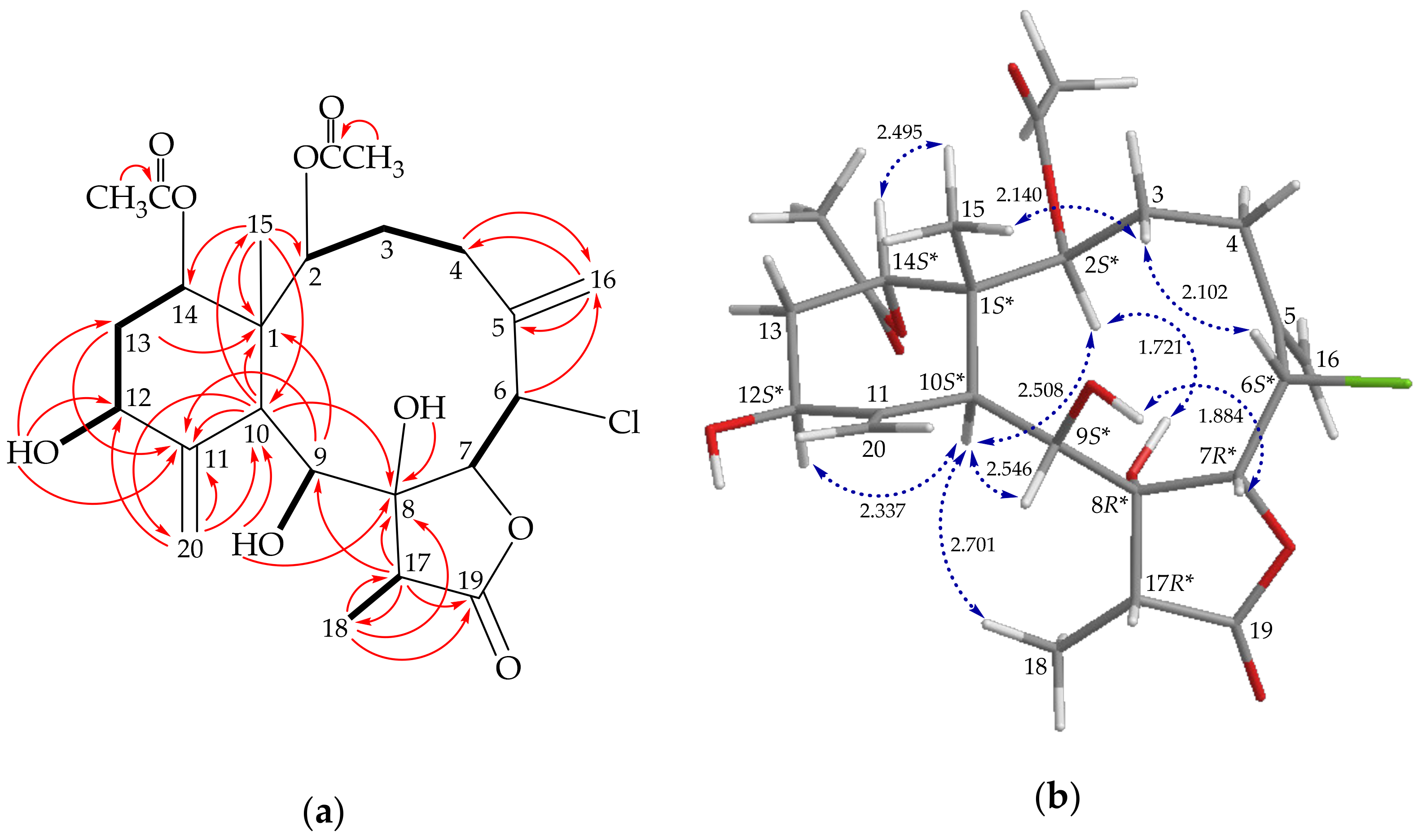 Molecules 26 06861 g002 Molecules 26 06861 g002