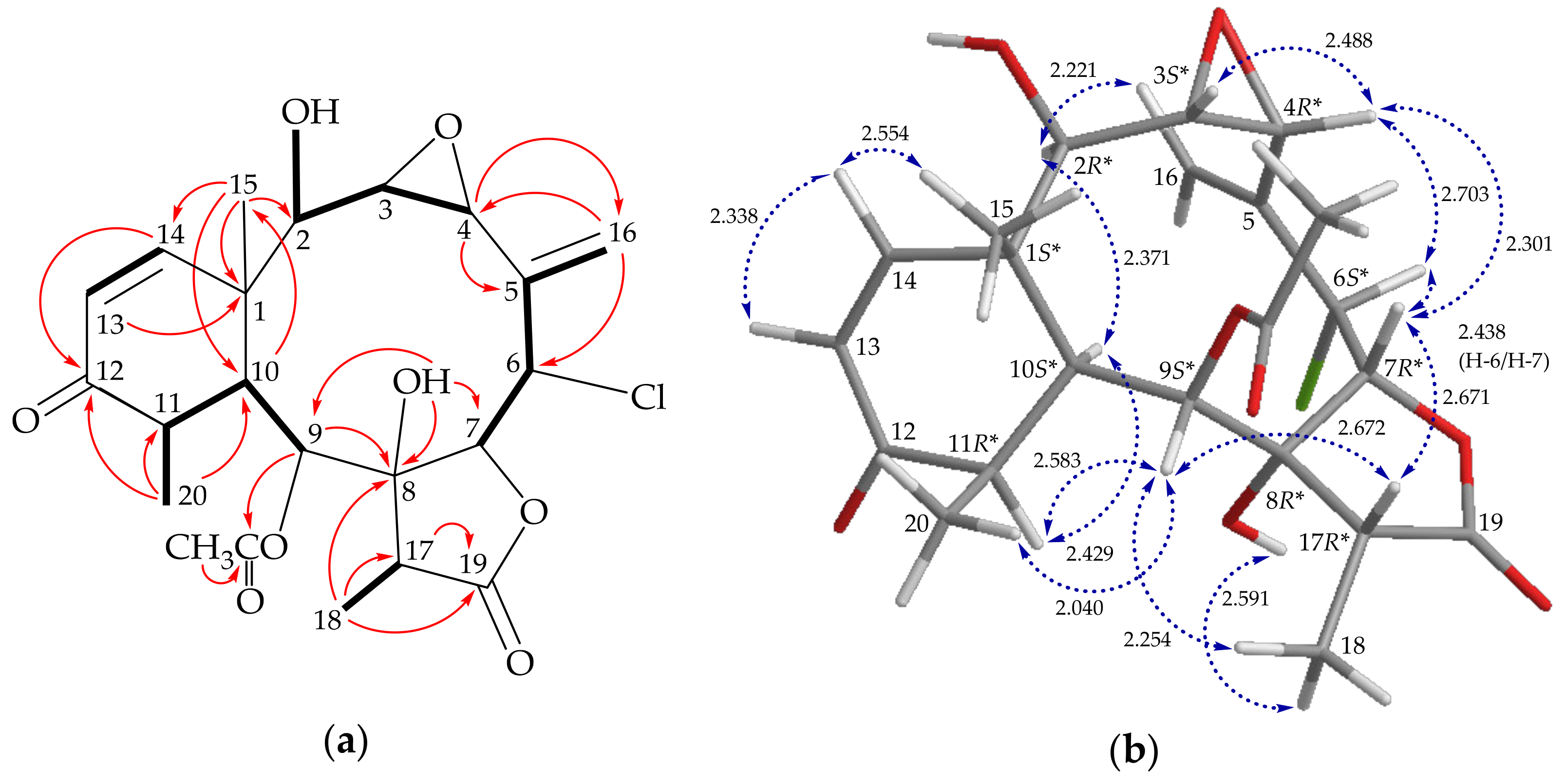 Molecules 26 06861 g003 Molecules 26 06861 g003