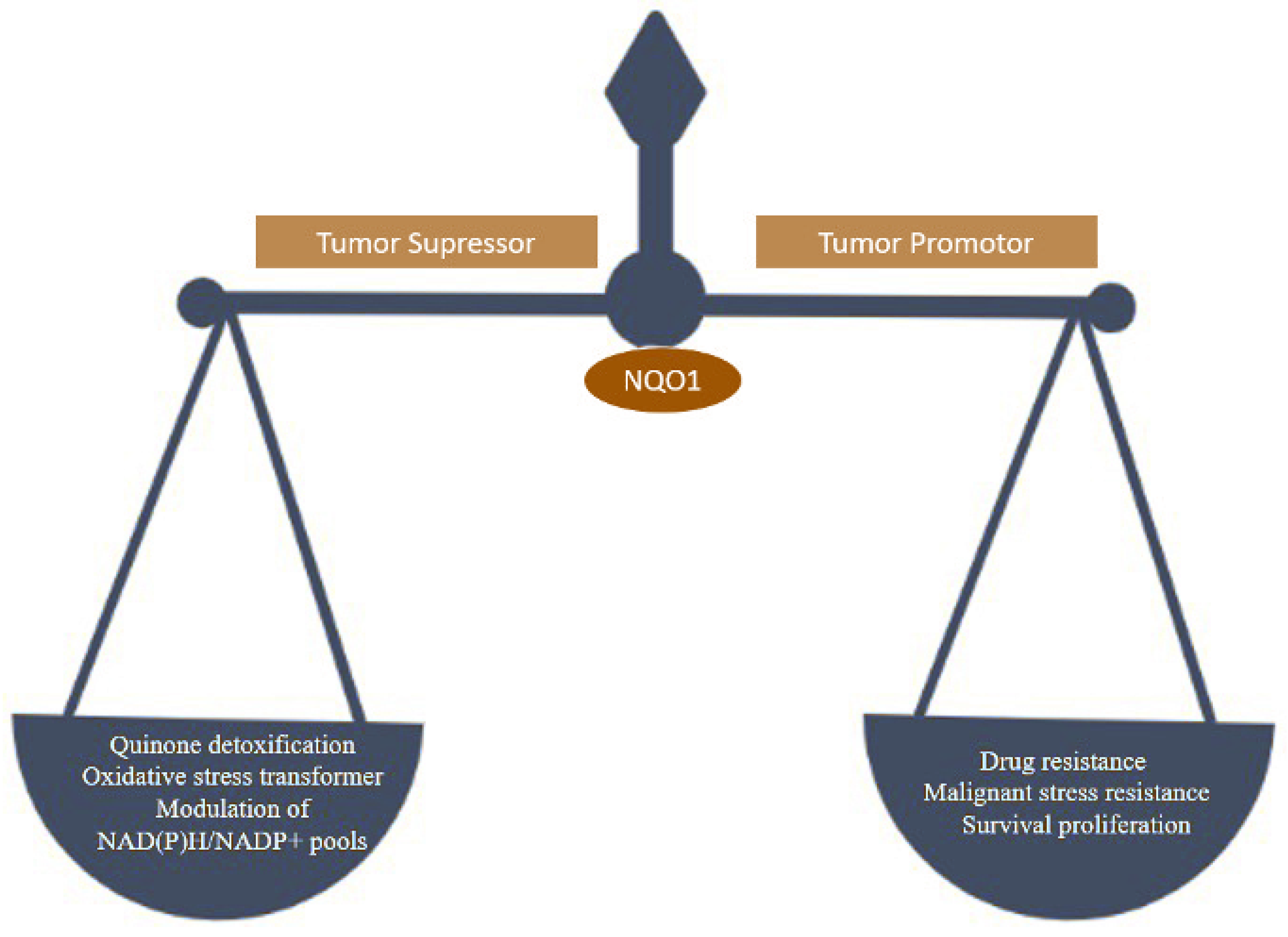 Molecules 26 06863 g001