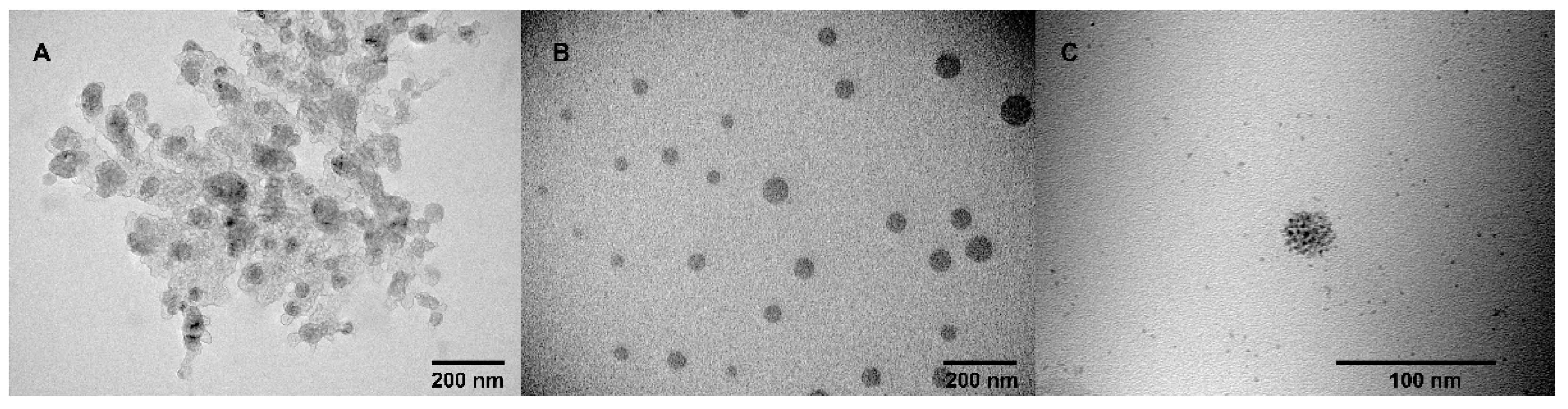 Molecules 26 06864 g003