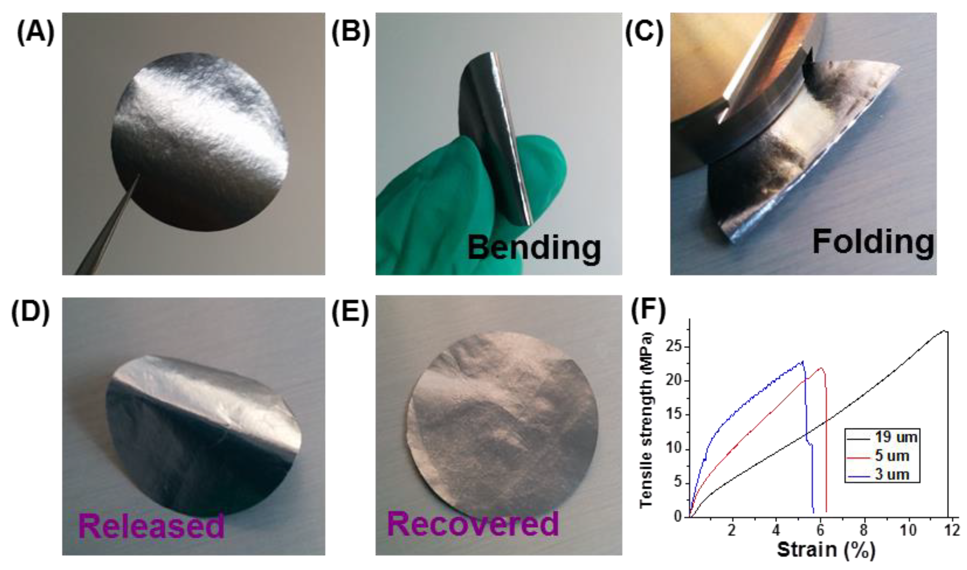 Molecules 26 06867 g004
