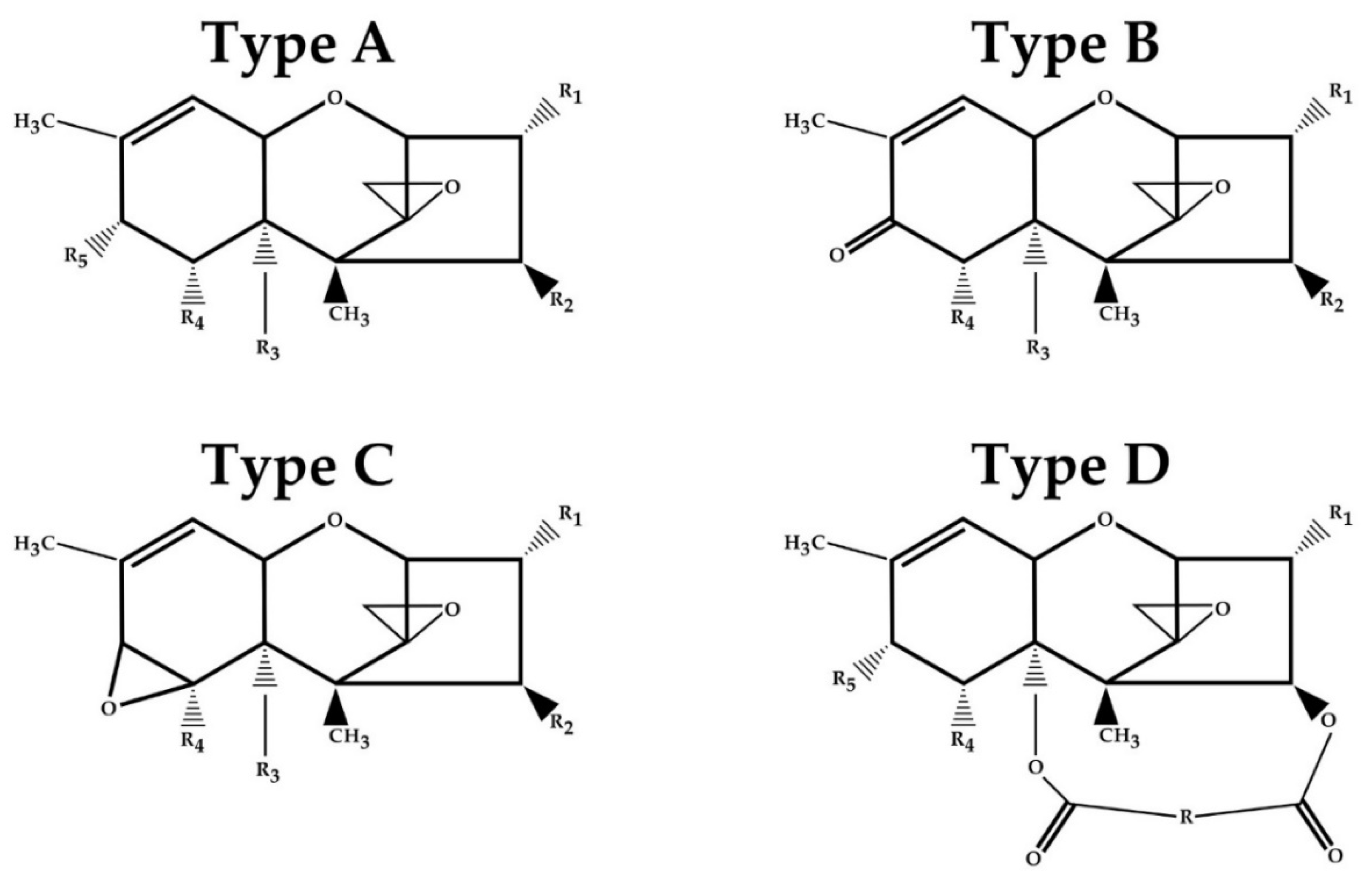 Molecules 26 06868 g001