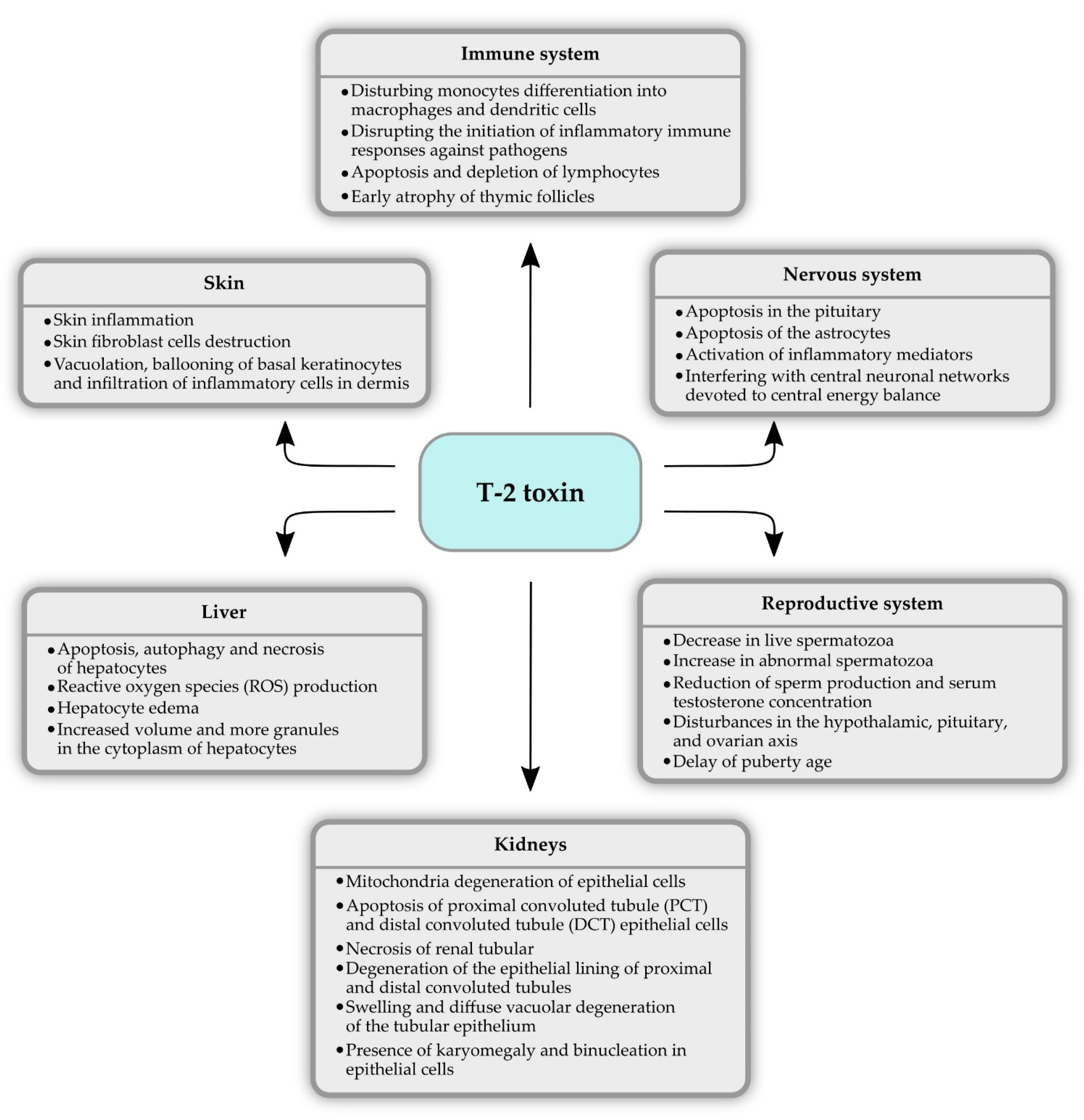 Molecules 26 06868 g003