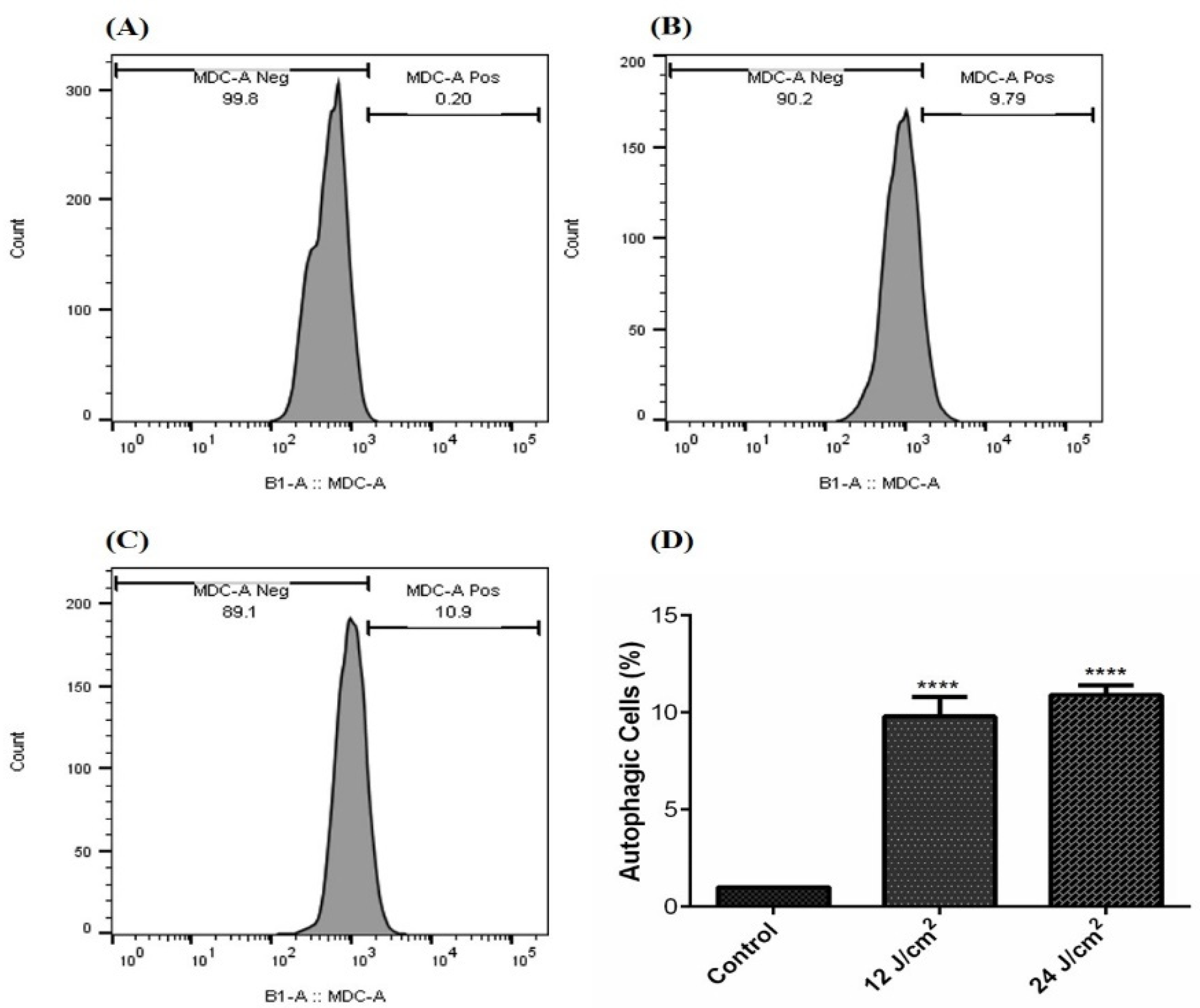 Molecules 26 06877 g004