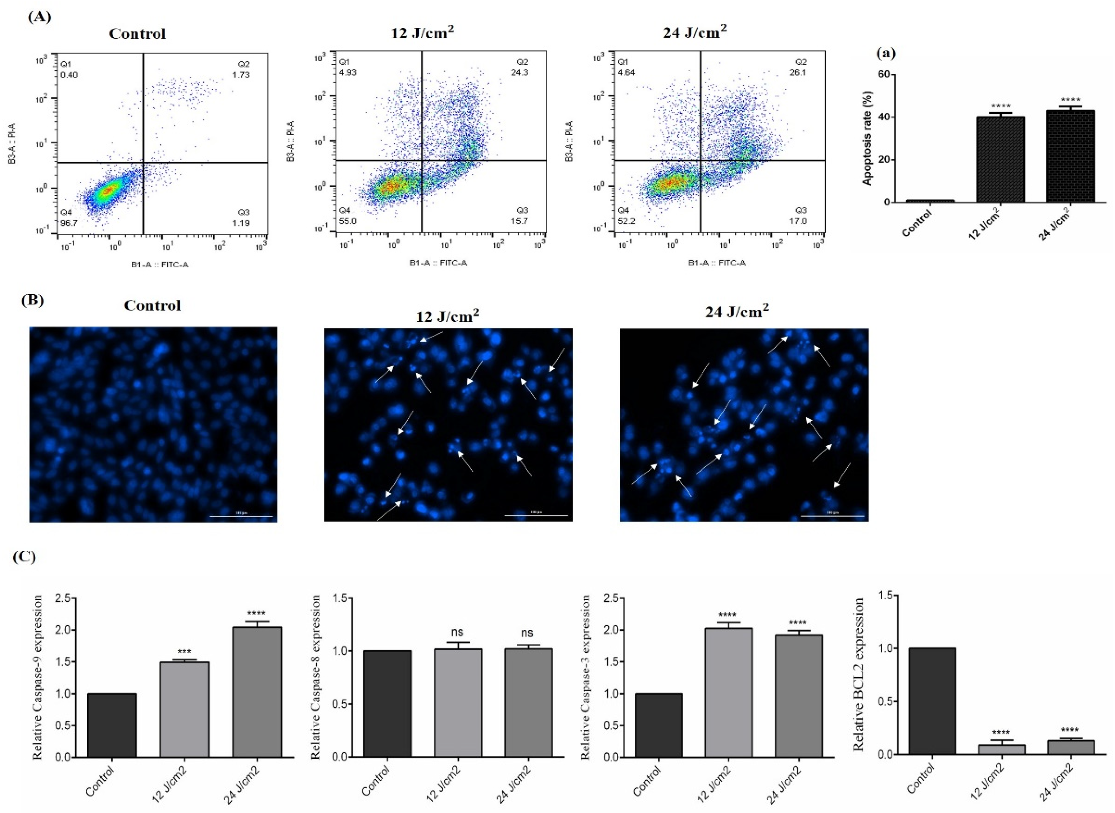 Molecules 26 06877 g005