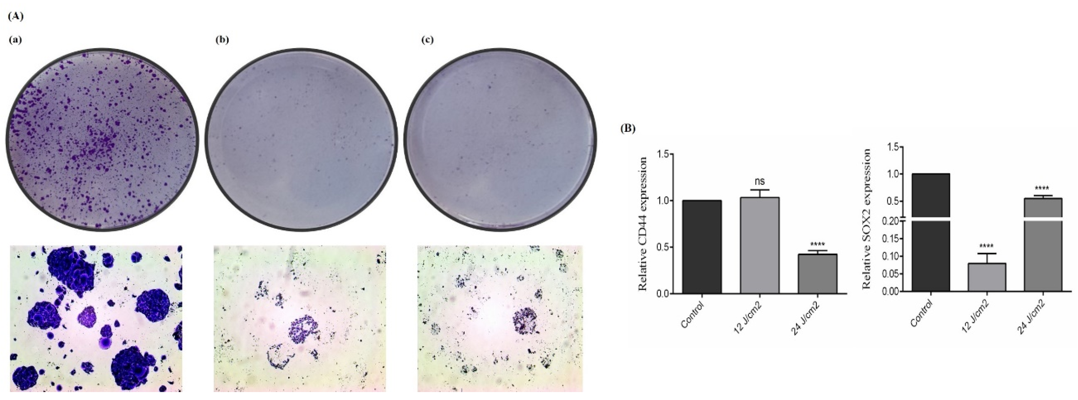 Molecules 26 06877 g006