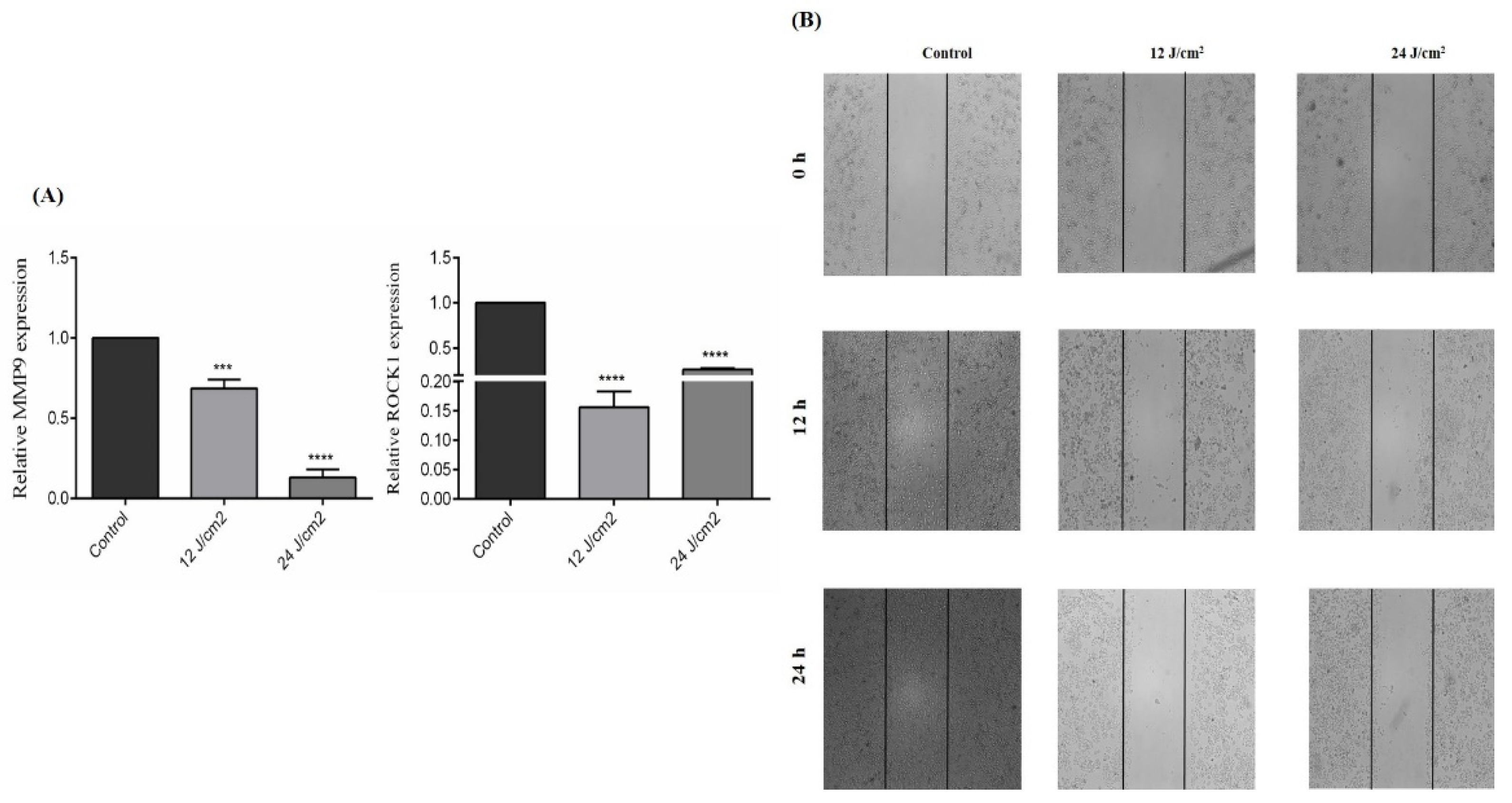 Molecules 26 06877 g007