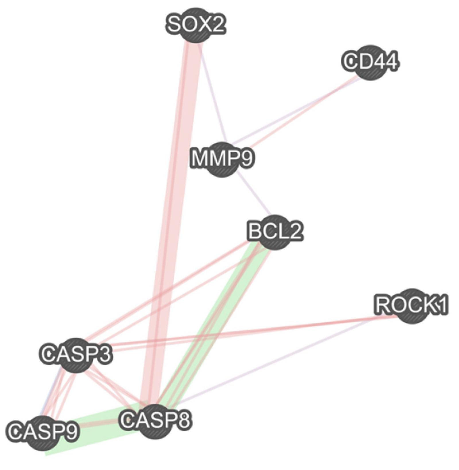 Molecules 26 06877 g008