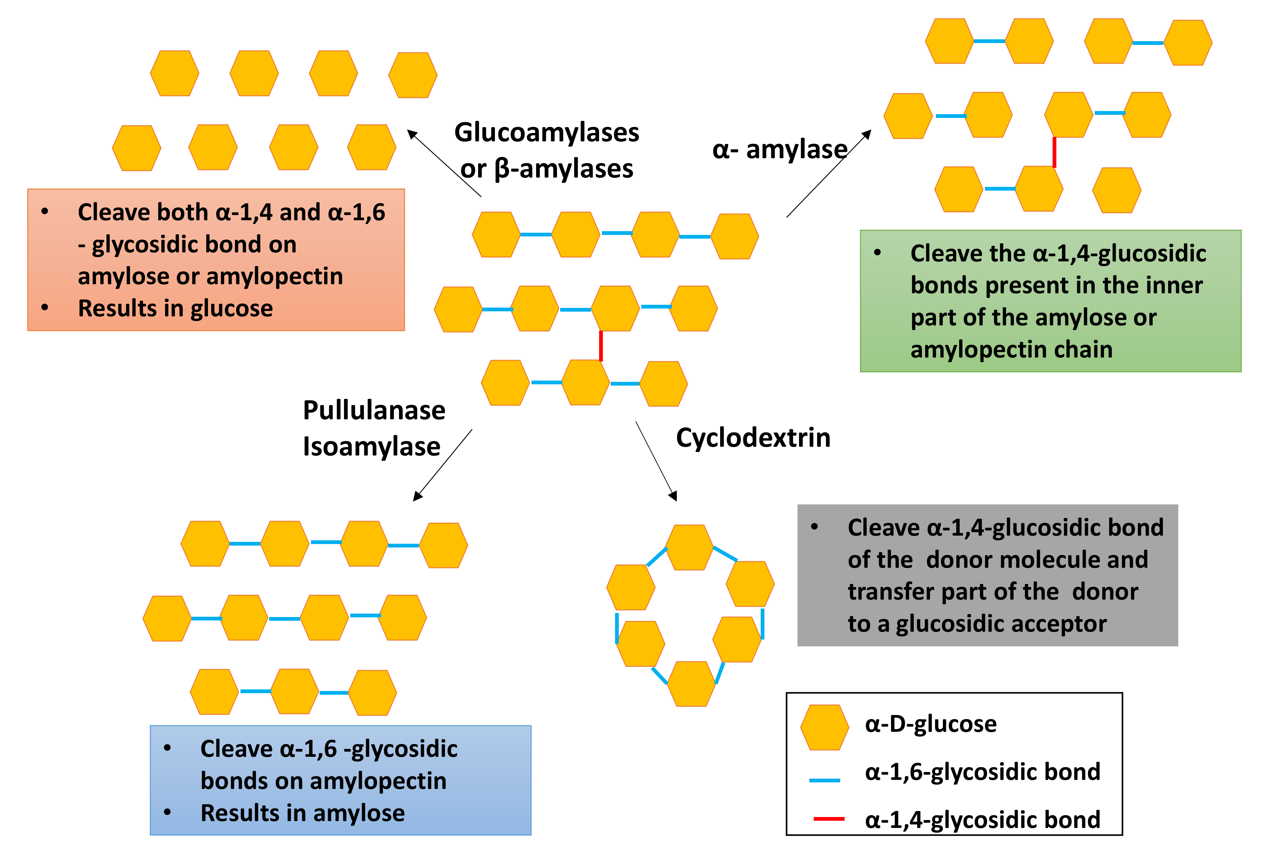 Molecules 26 06880 g004