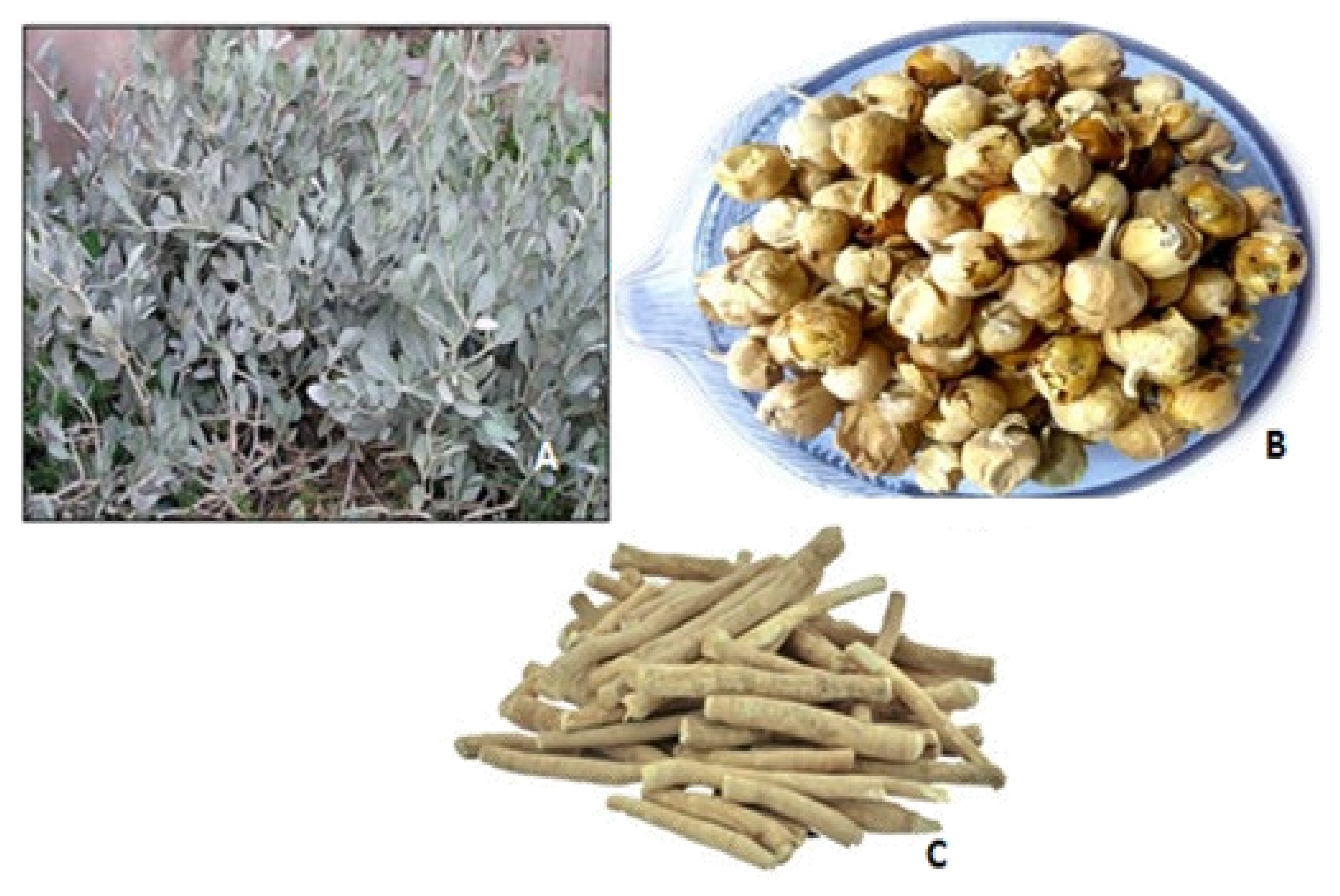 Molecules 26 06881 g001