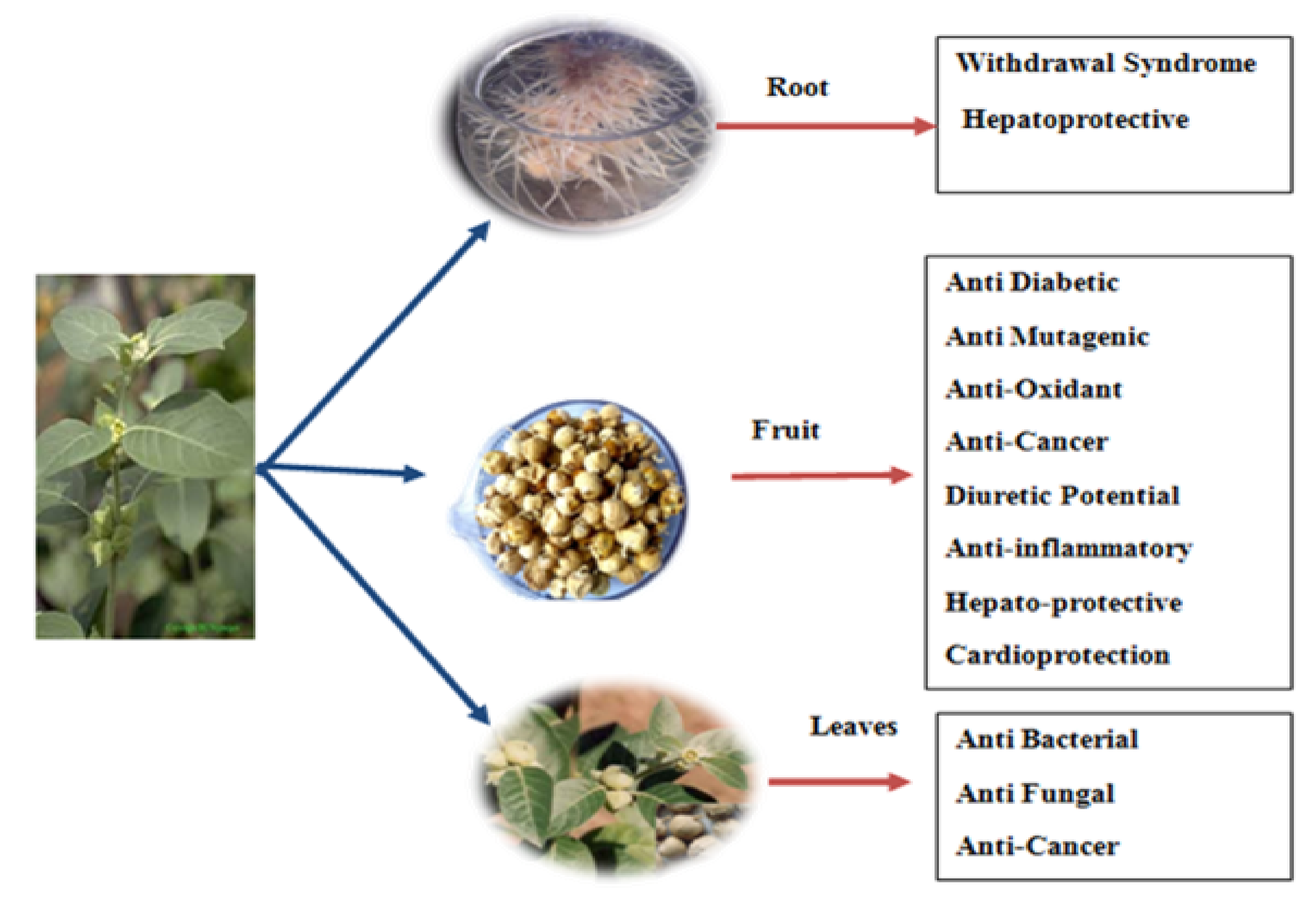 Molecules 26 06881 g003