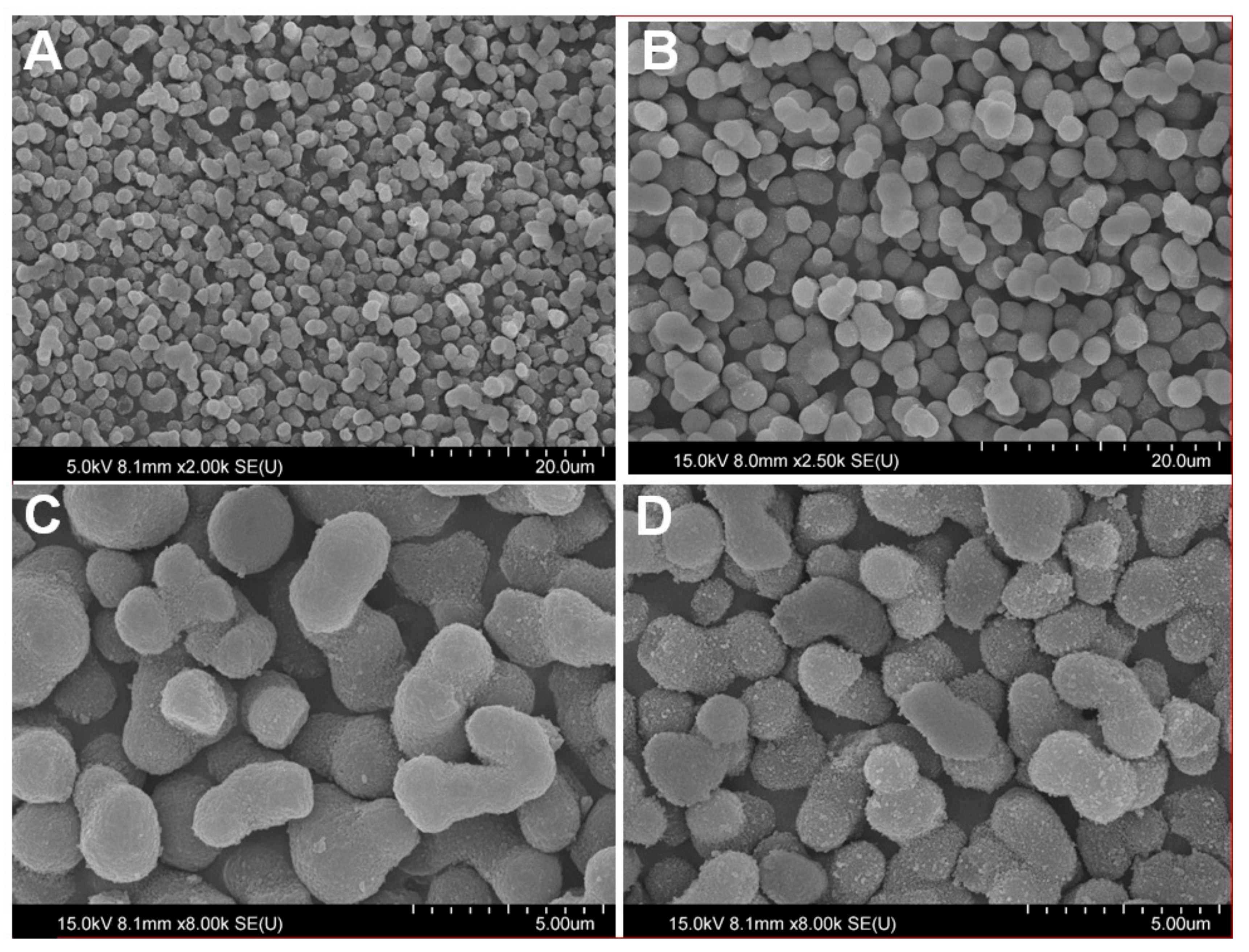 Molecules 26 06885 g001
