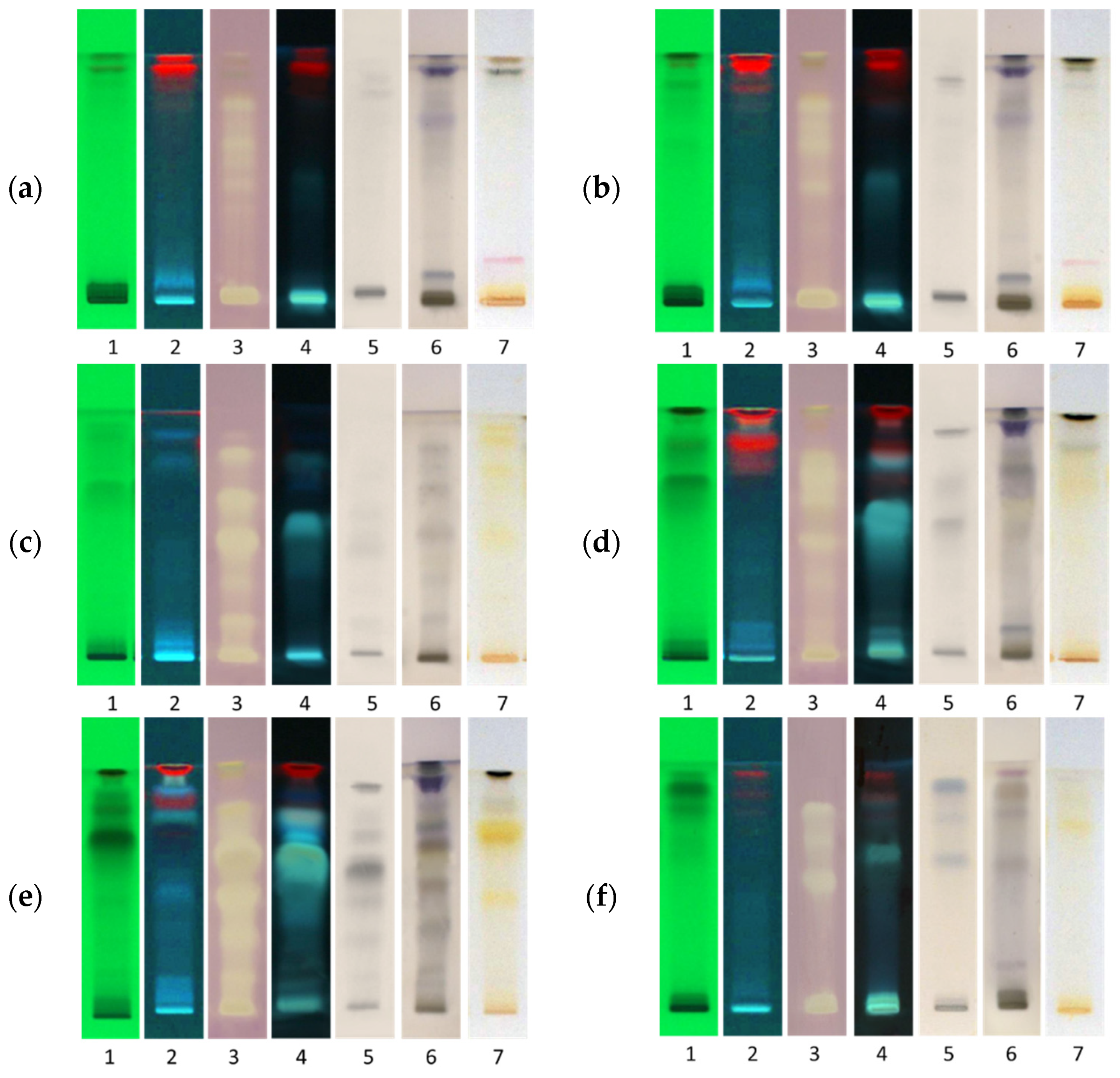 Molecules 26 06892 g003 Molecules 26 06892 g003