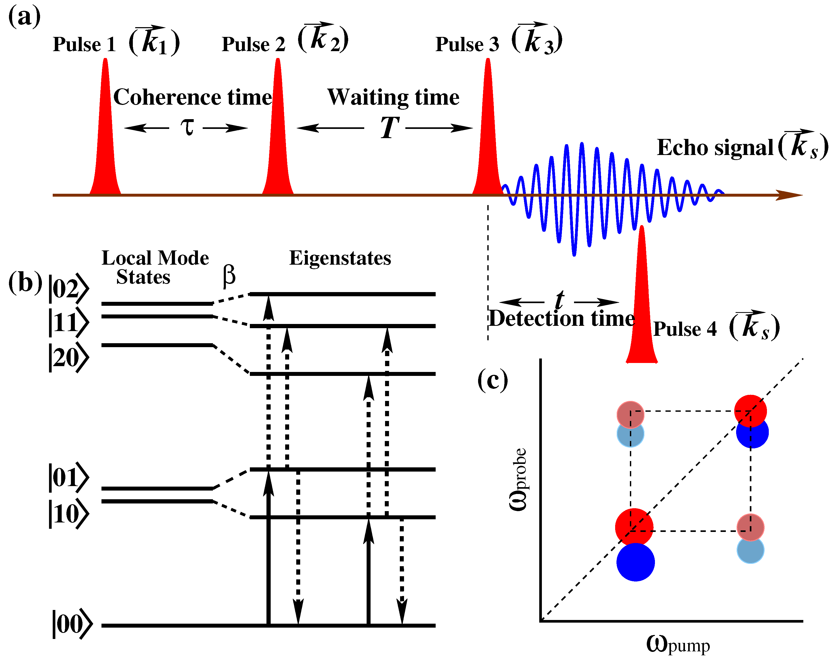 Molecules 26 06893 g004