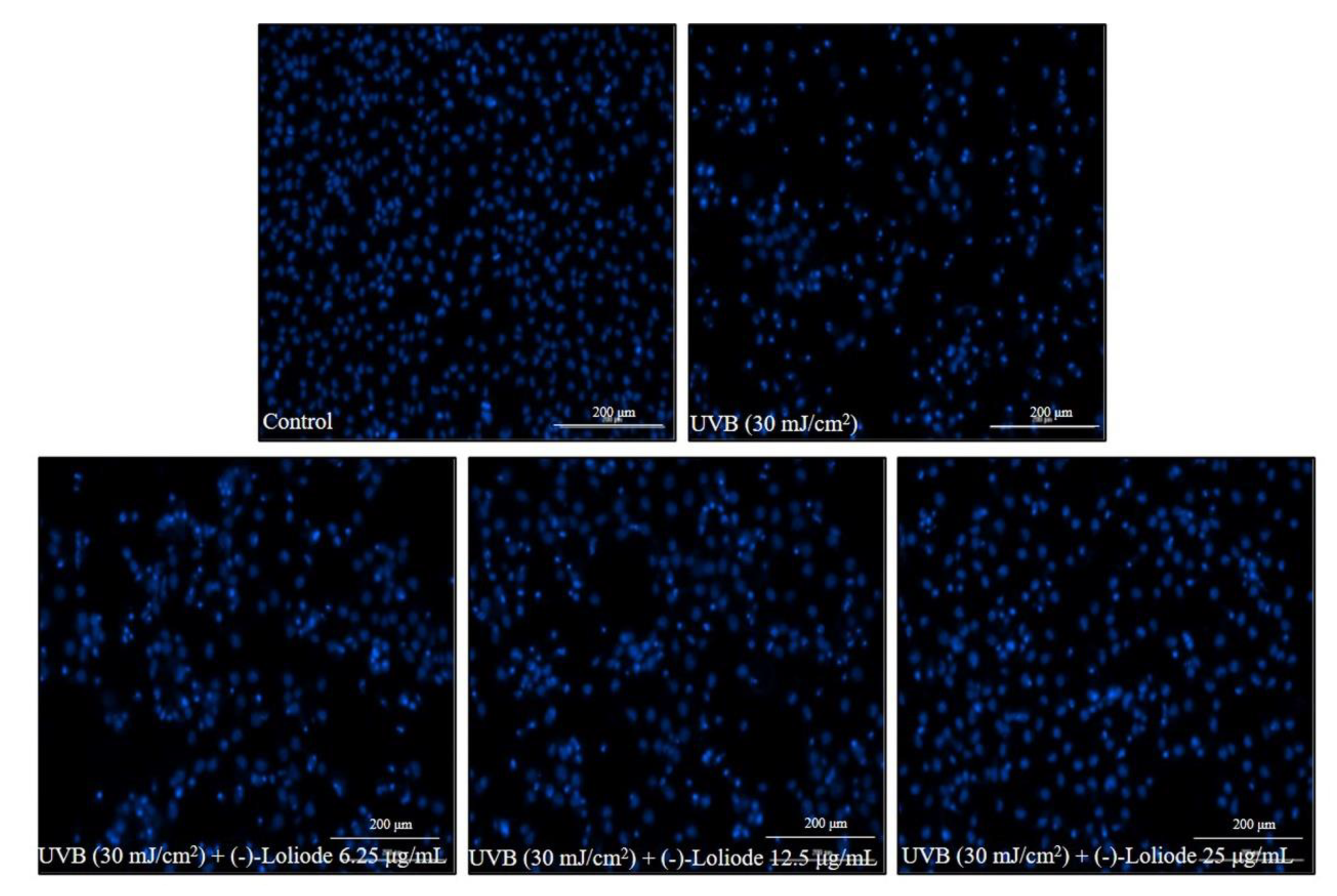 Molecules 26 06898 g003