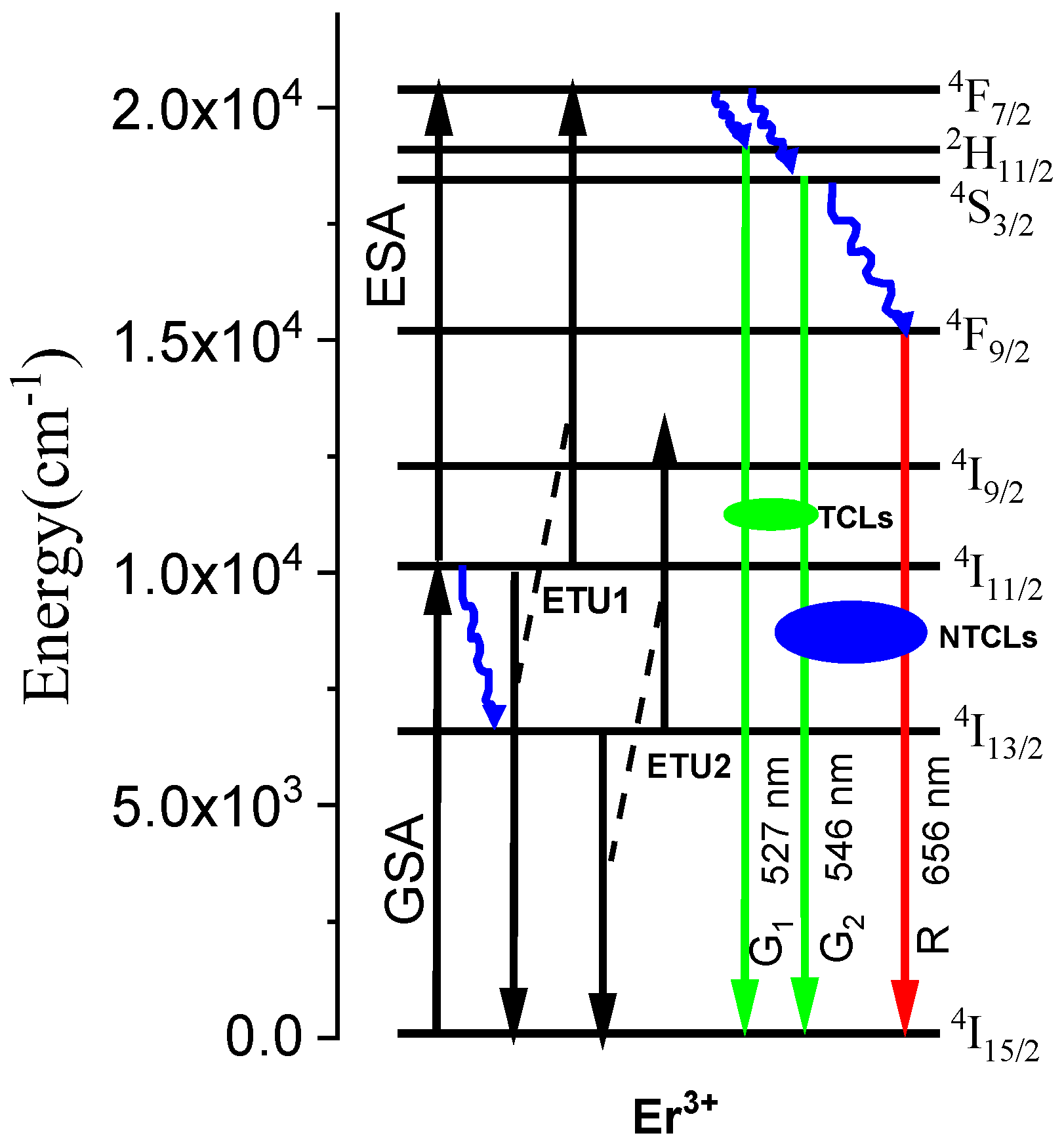 Molecules 26 06901 g001